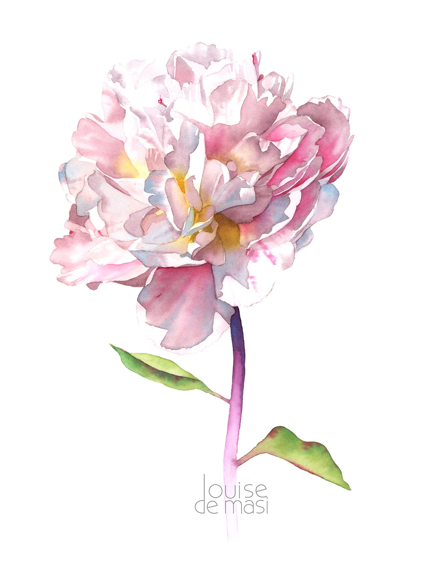 Peony - intermediate to advanced