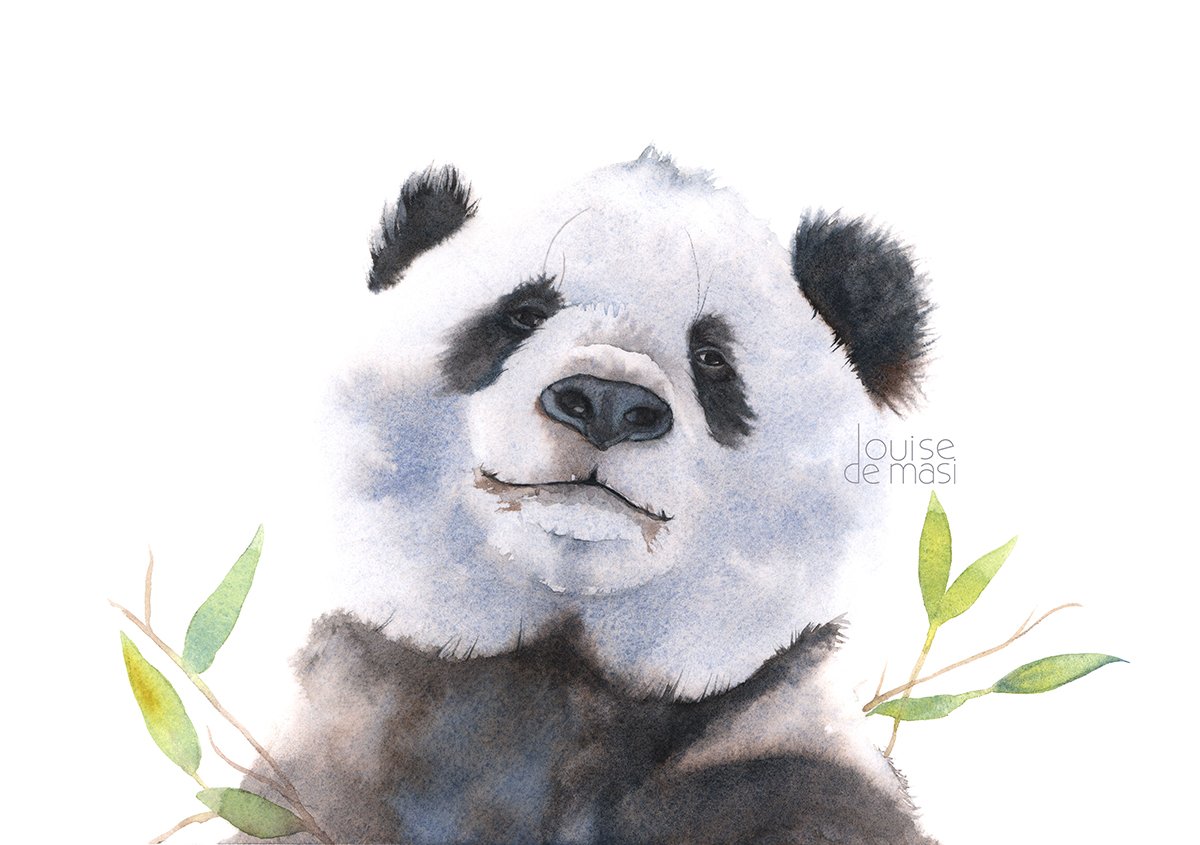 Panda - beginner to intermediate