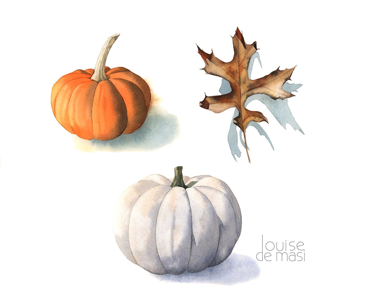 Pumpkins &amp; Autumn Leaf Studies - beginner