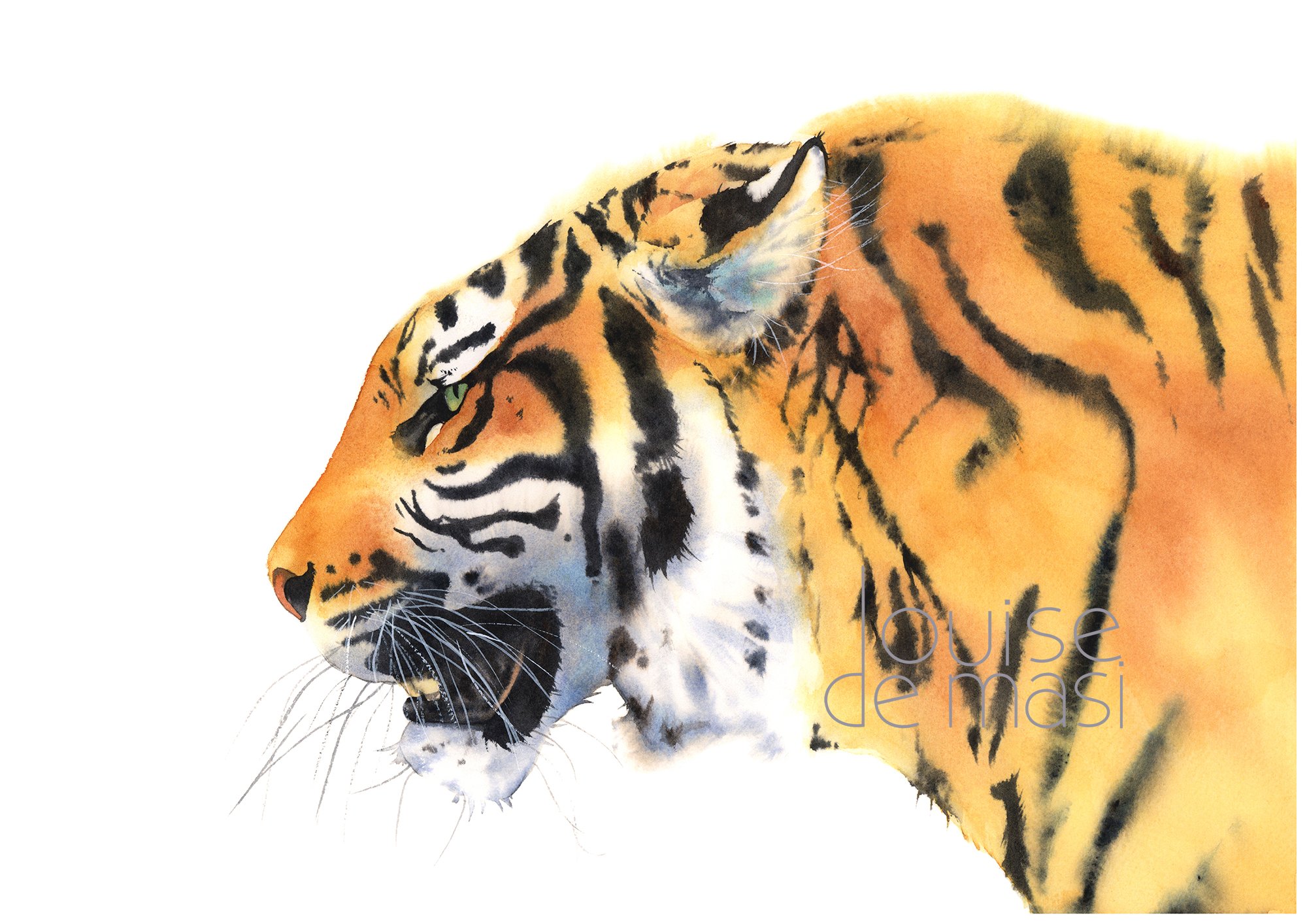 Tiger print.jpg