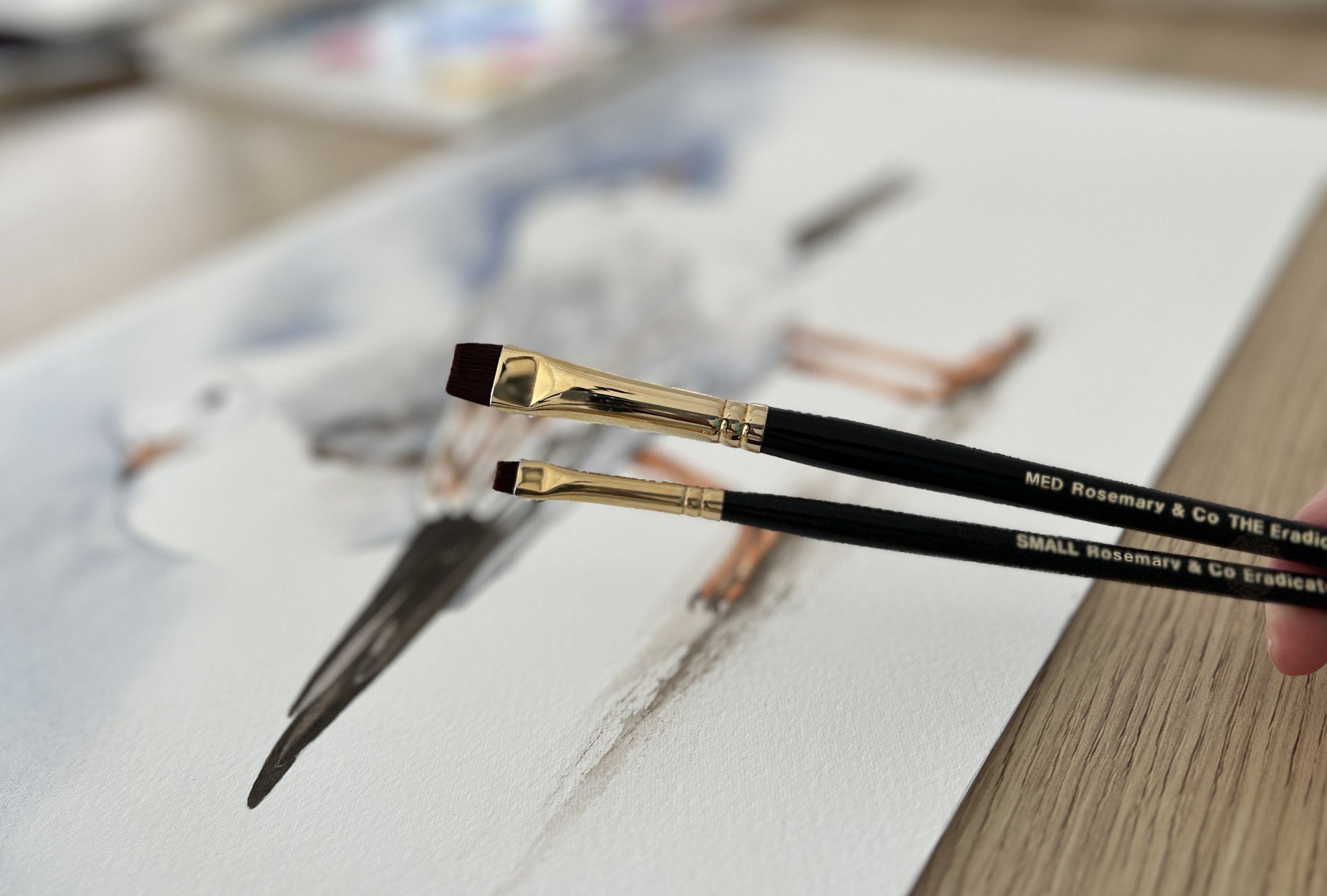 A New kind of Watercolour Brush & A Game Changer from Rosemary & Co Brushes,  with a Real-Time Demo 