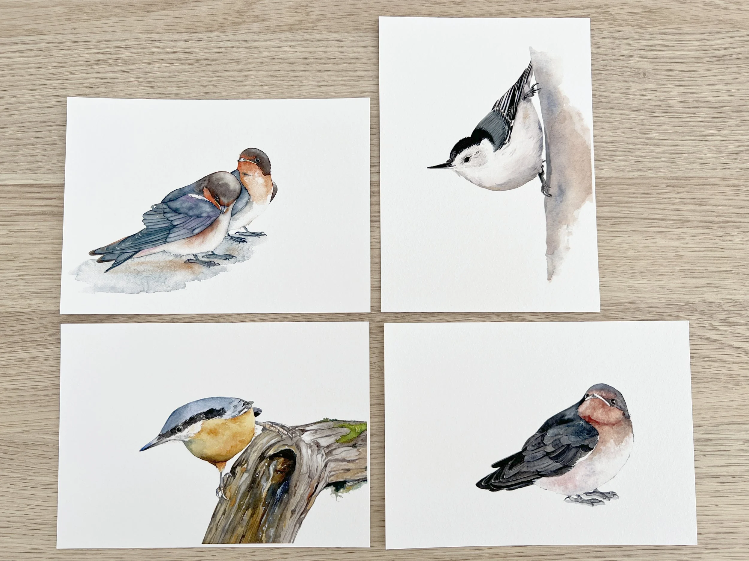 Small Birds Set of 4 Prints