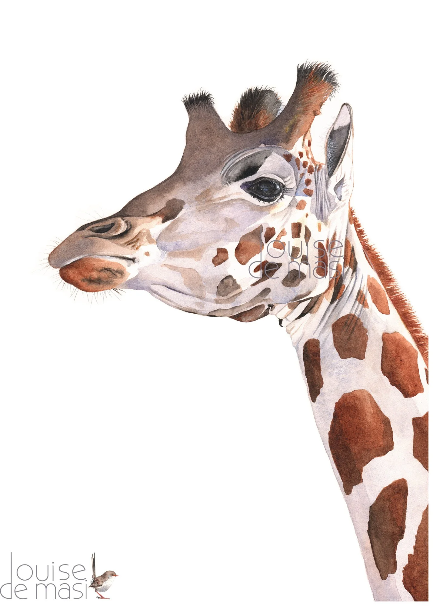 Louise De Masi's watercolor capturing a giraffe's face with detailed eyes and spotted coat, radiating a tranquil and wise demeanor. (Copy)