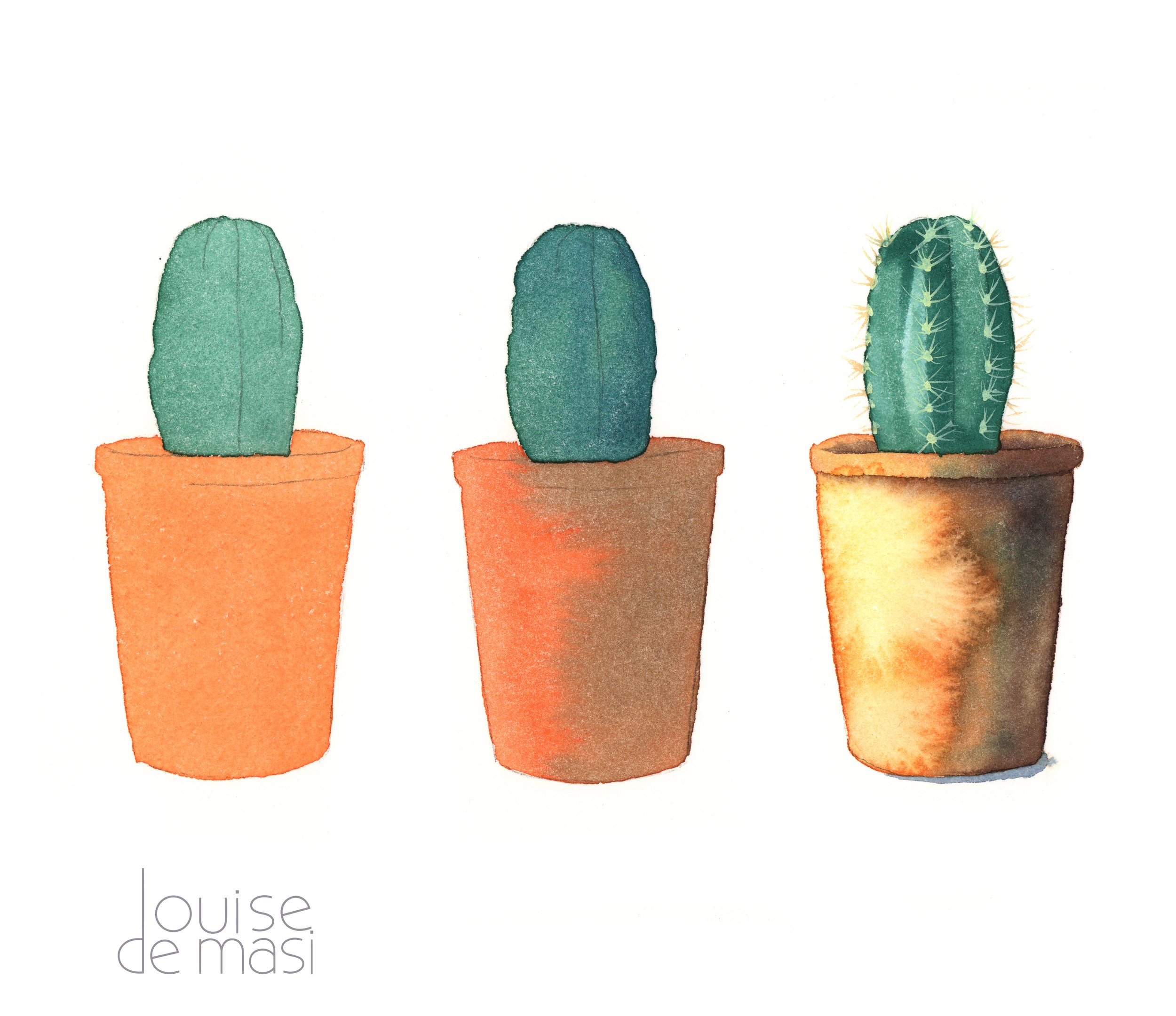 Cactus Practice - beginners