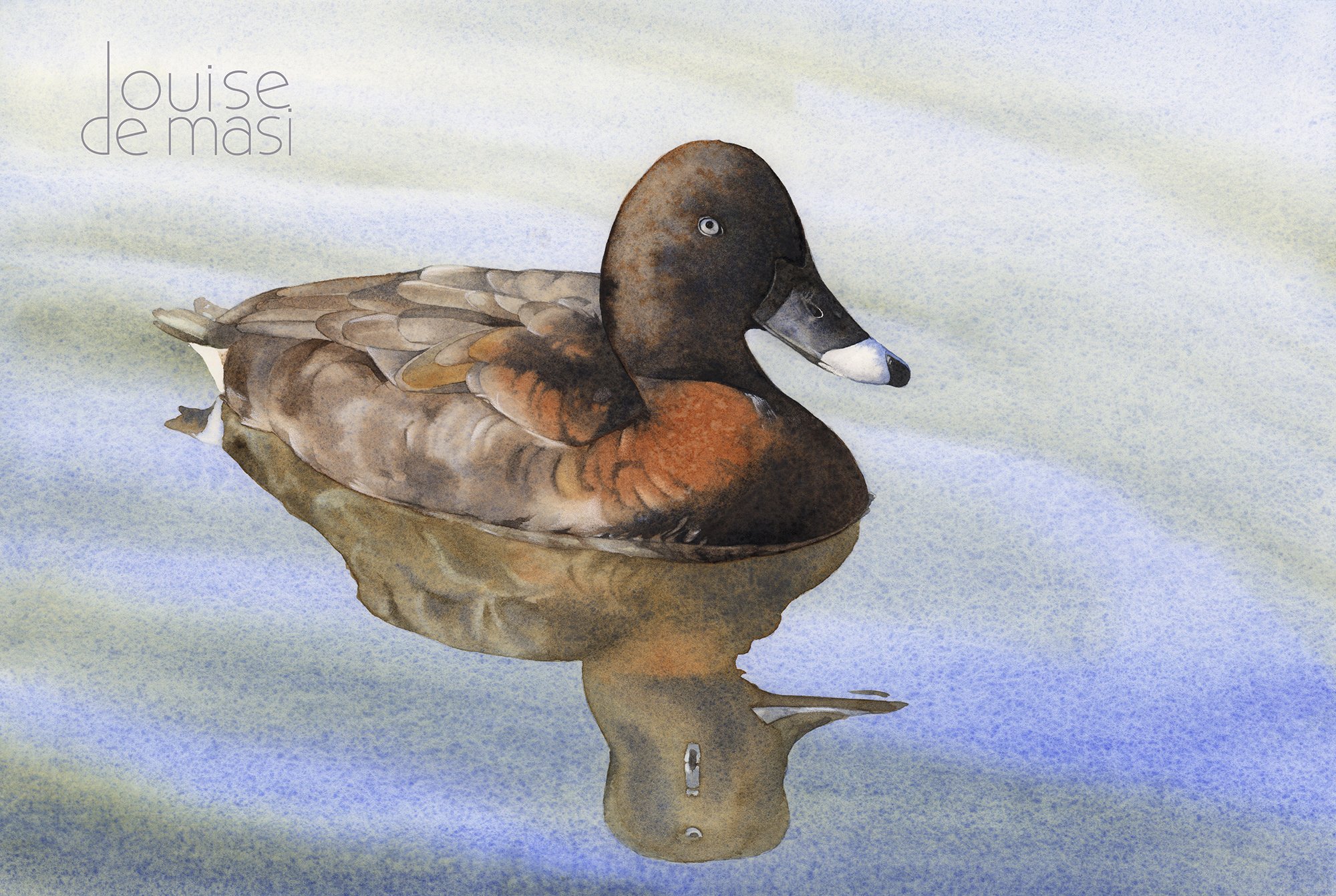 Duck on water - Advanced