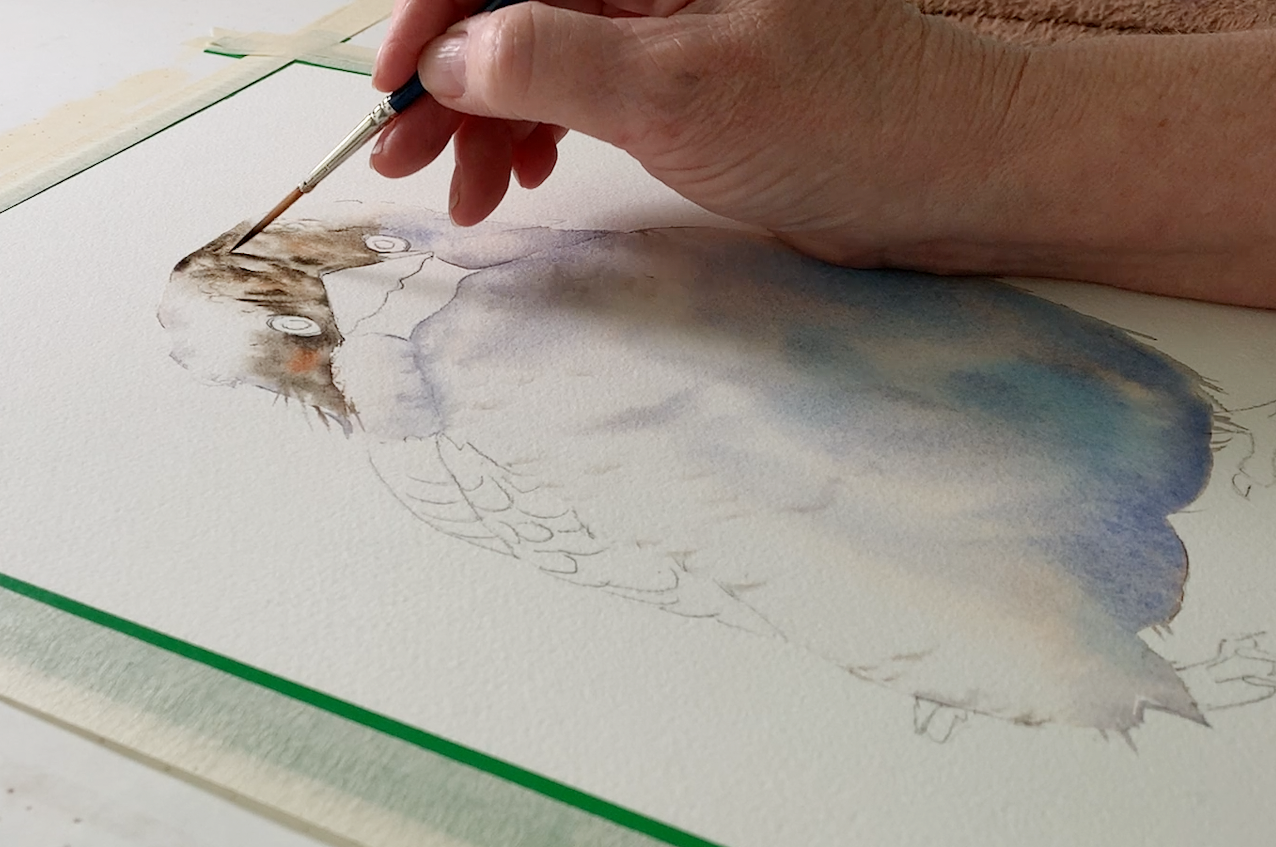 Information about Hot Pressed Watercolor Paper - Susan Harrison