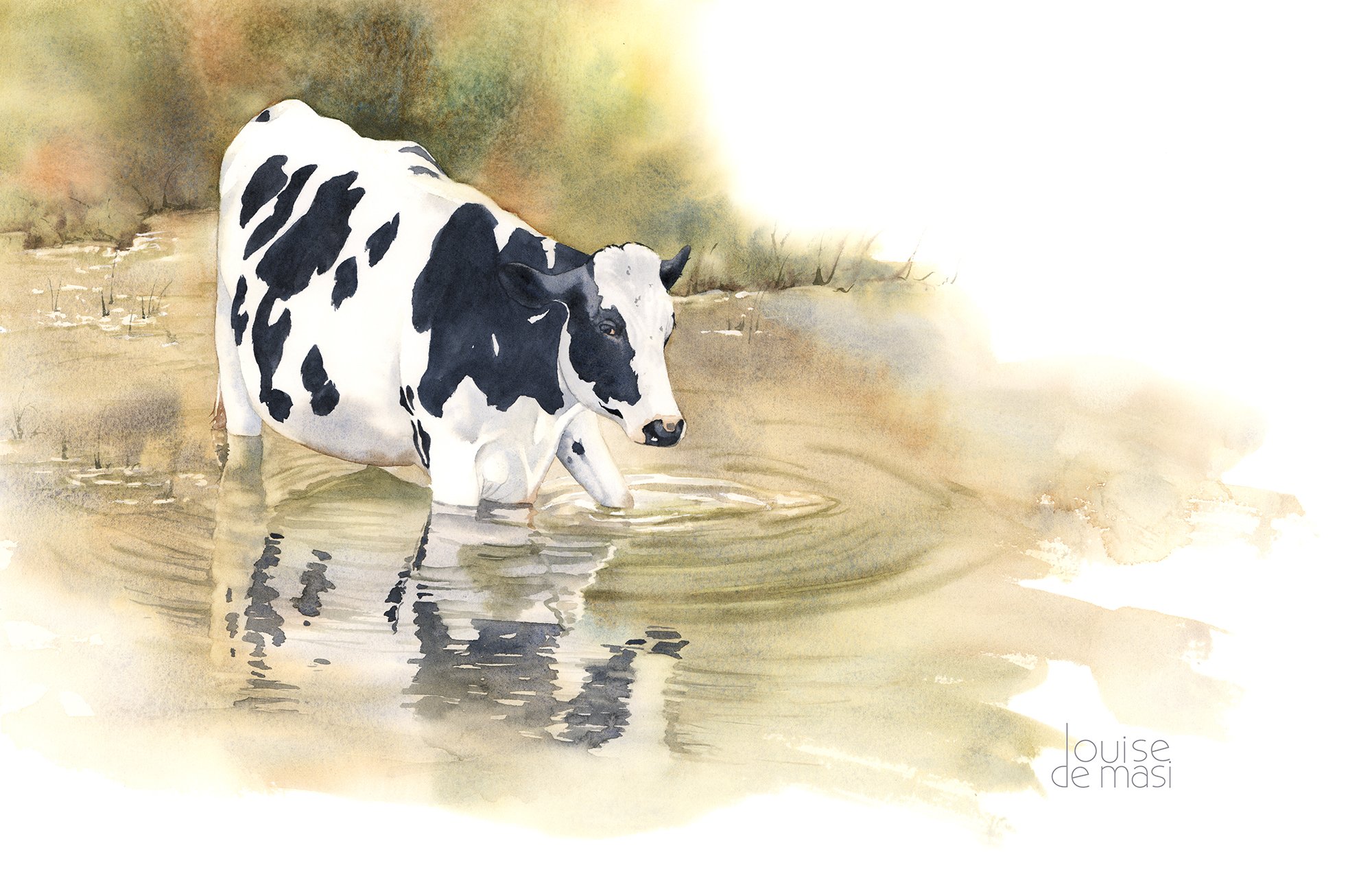 Cow in water - Advanced