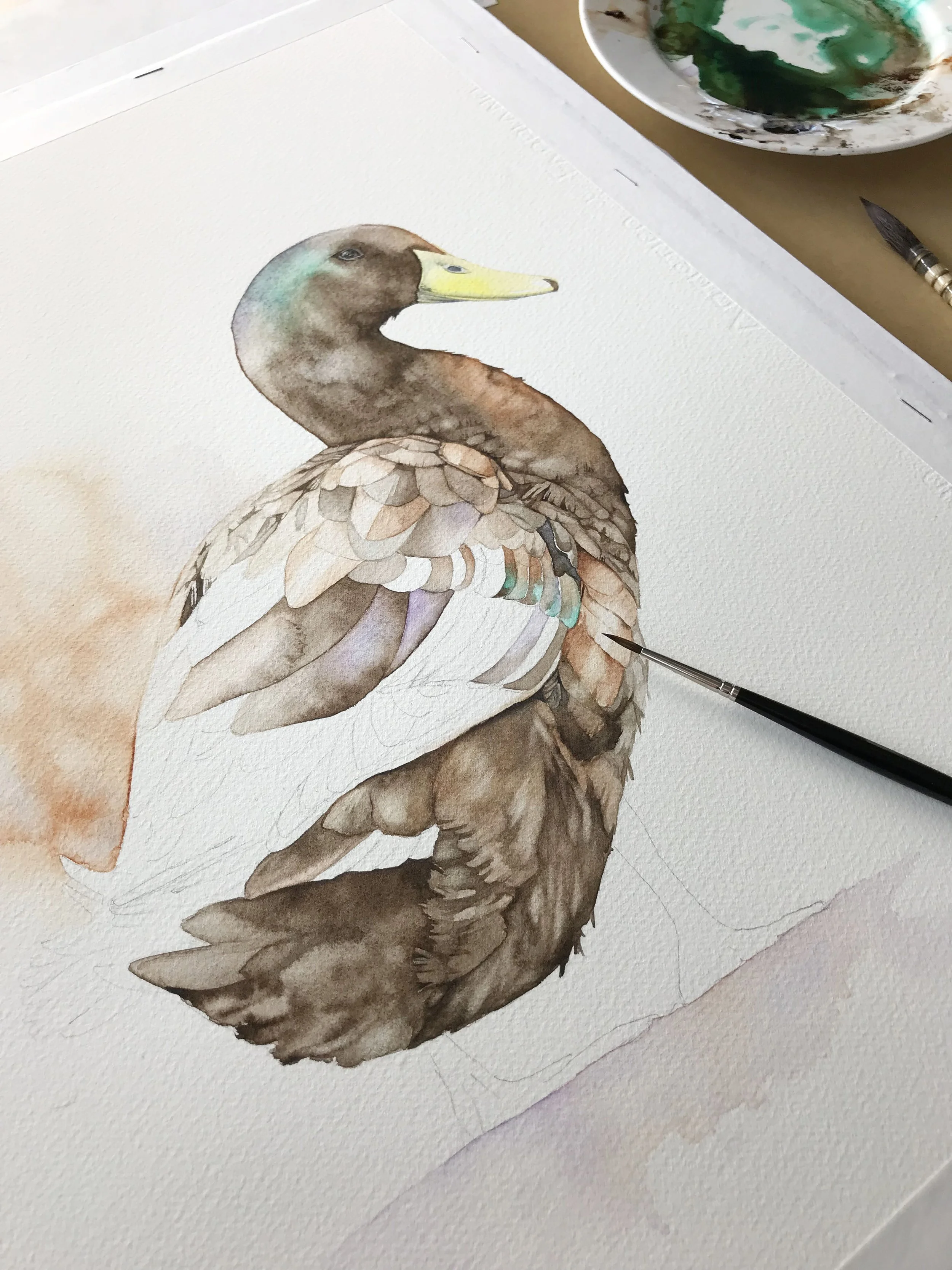 The Versatility of Watercolour: A Journey Through Painting Styles