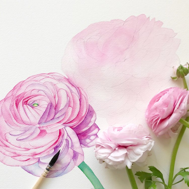 Watercolour Glossary Key Terms Every Artist Should Know Louise De