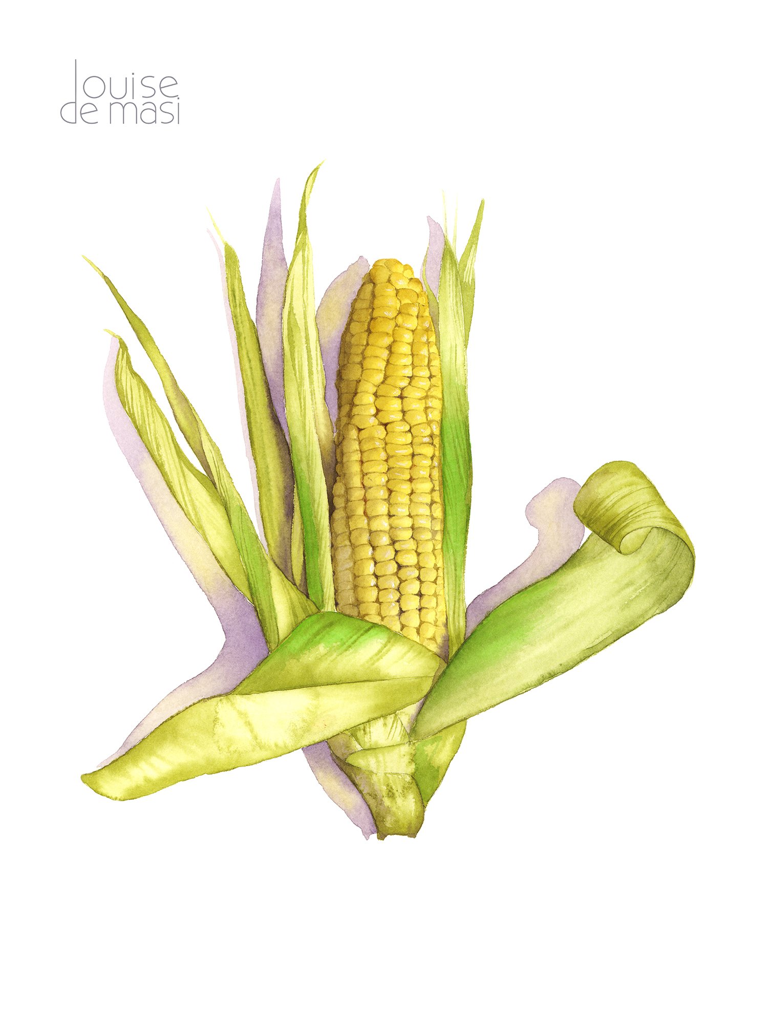 Corn Cob -intermediate to advanced