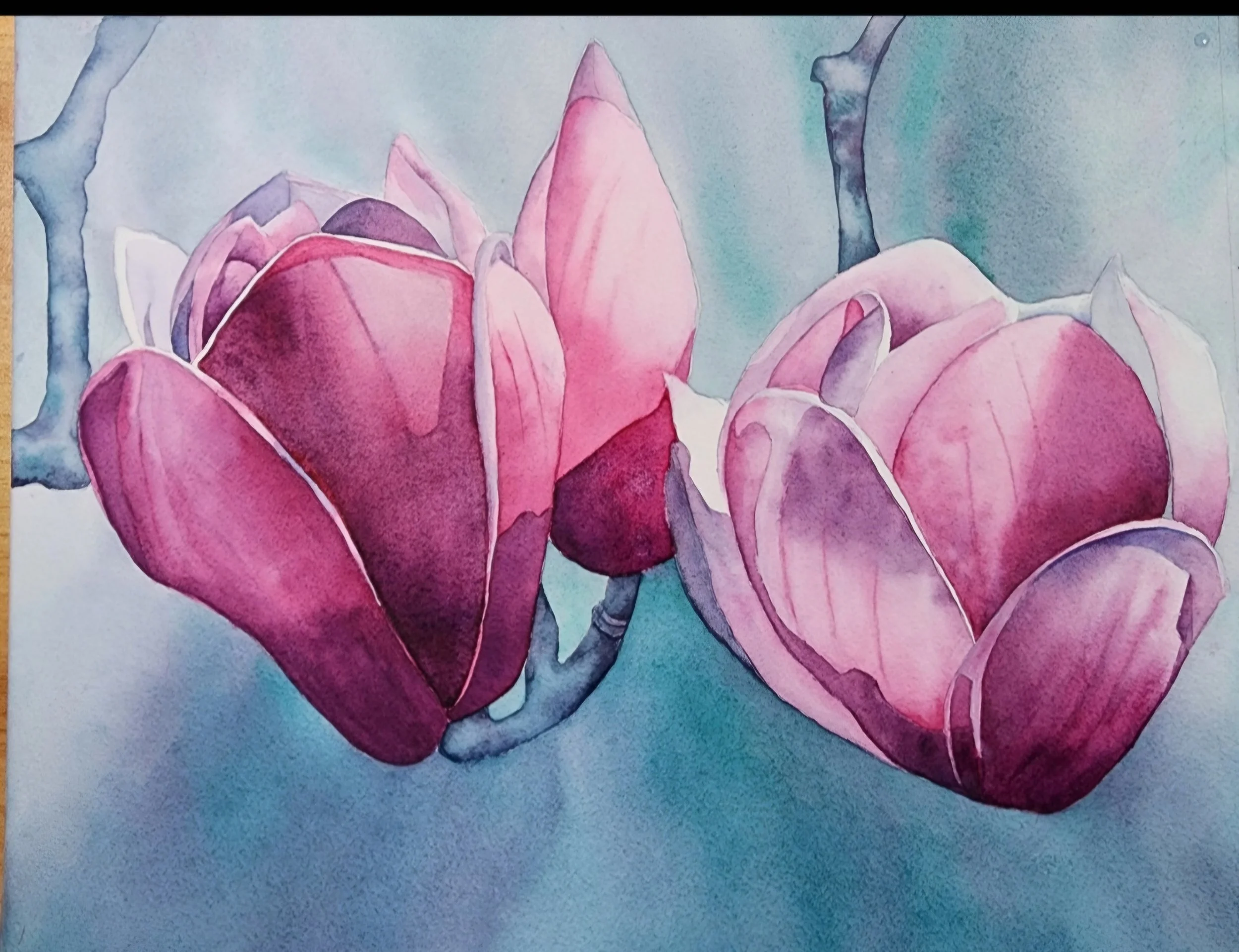 An Open Letter To Louise De Masi Celebrating An Exceptional Teacher