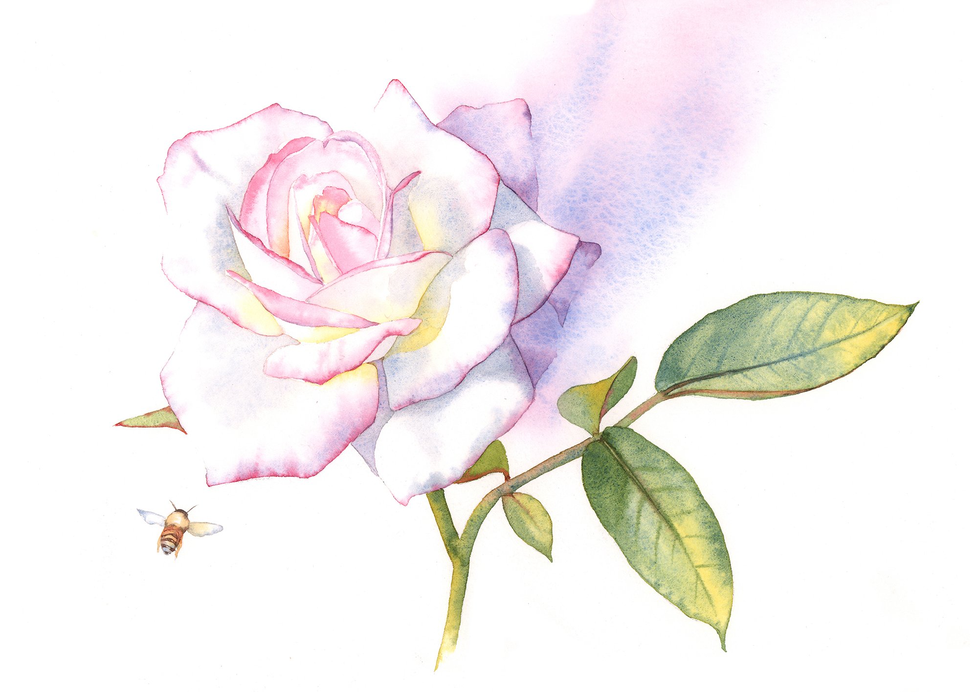 Sweet Encounters - intermediate to advanced