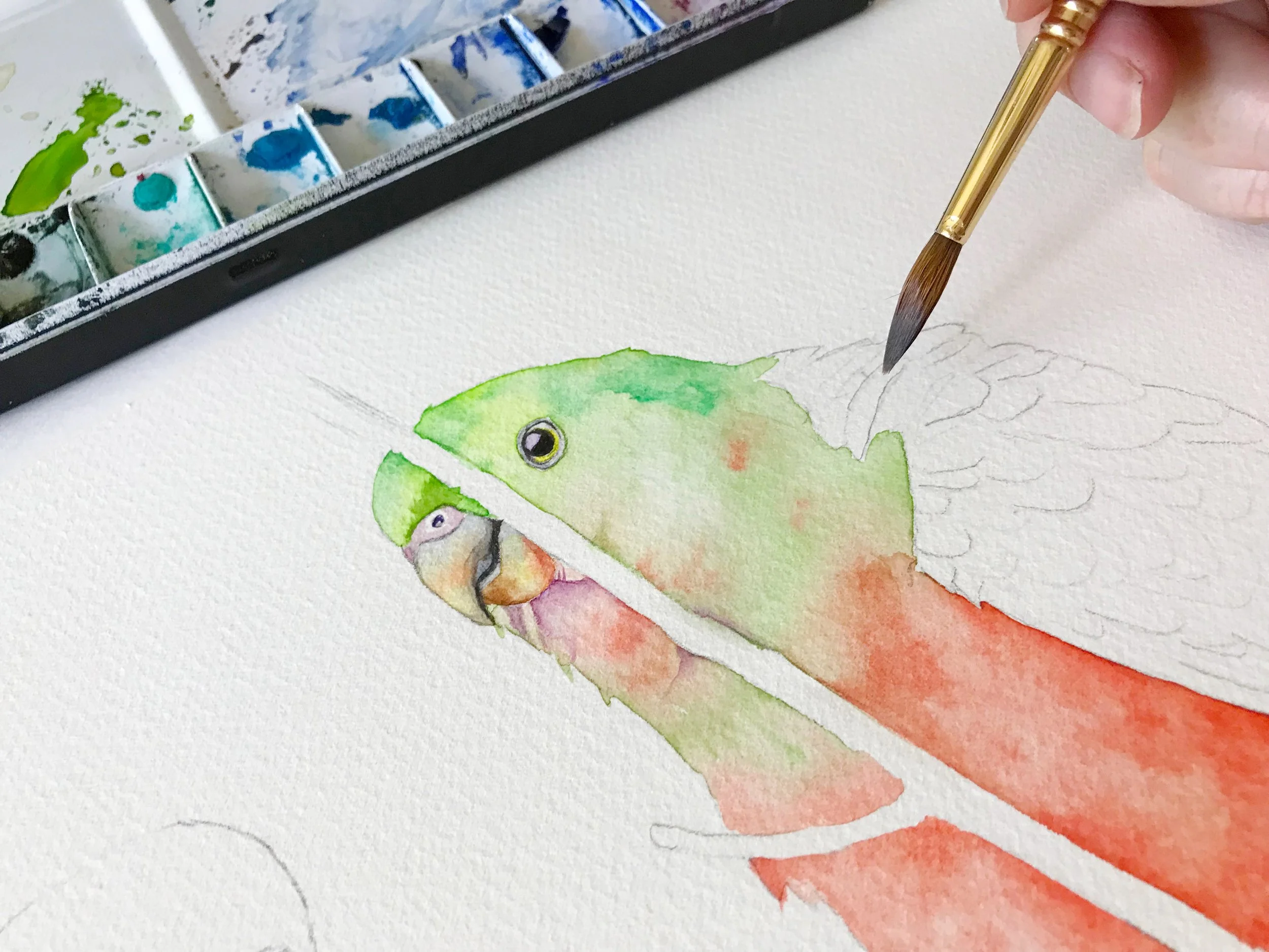 25 Unique Watercolour Painting Techniques