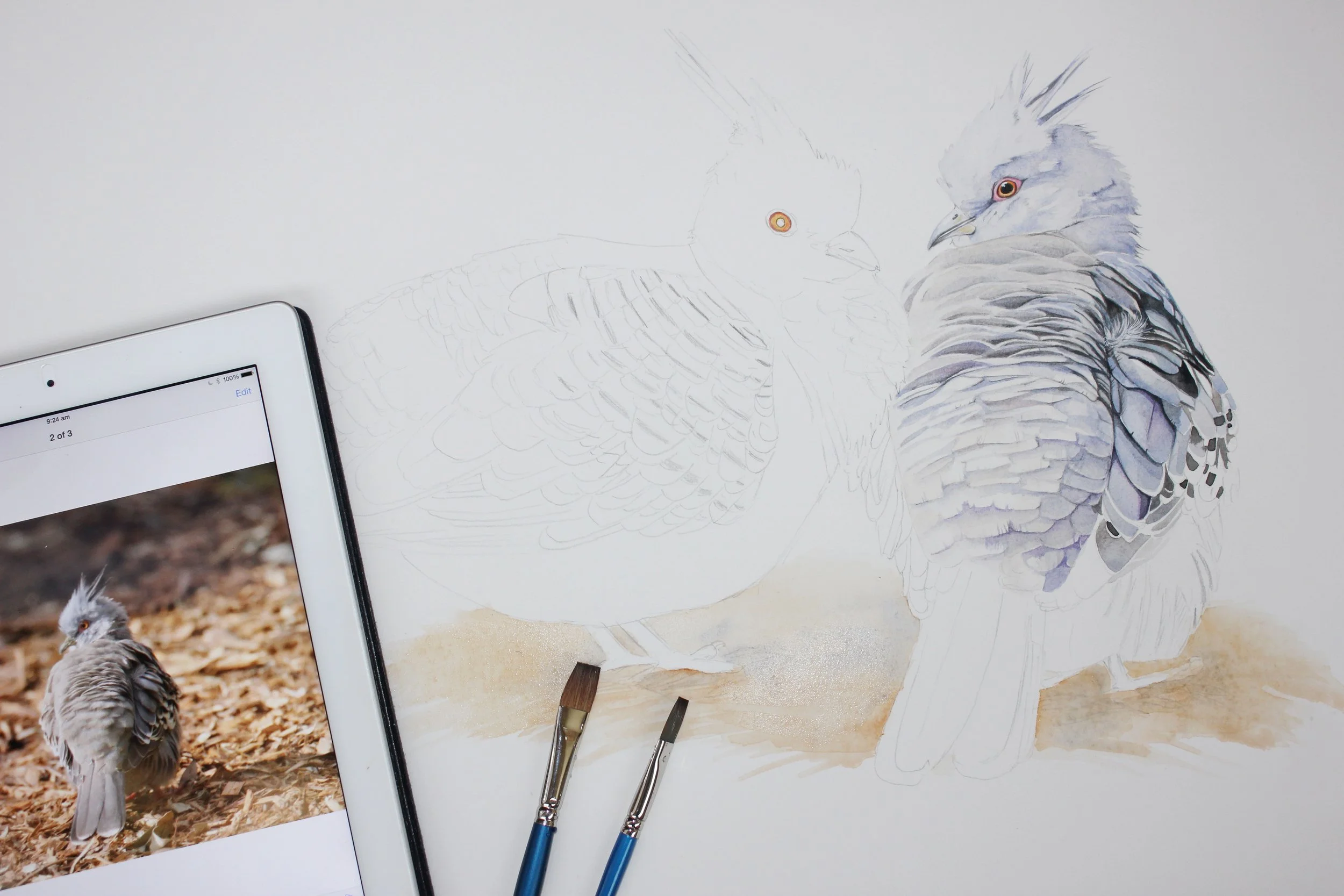 Watercolour is the Hardest Medium to Paint With