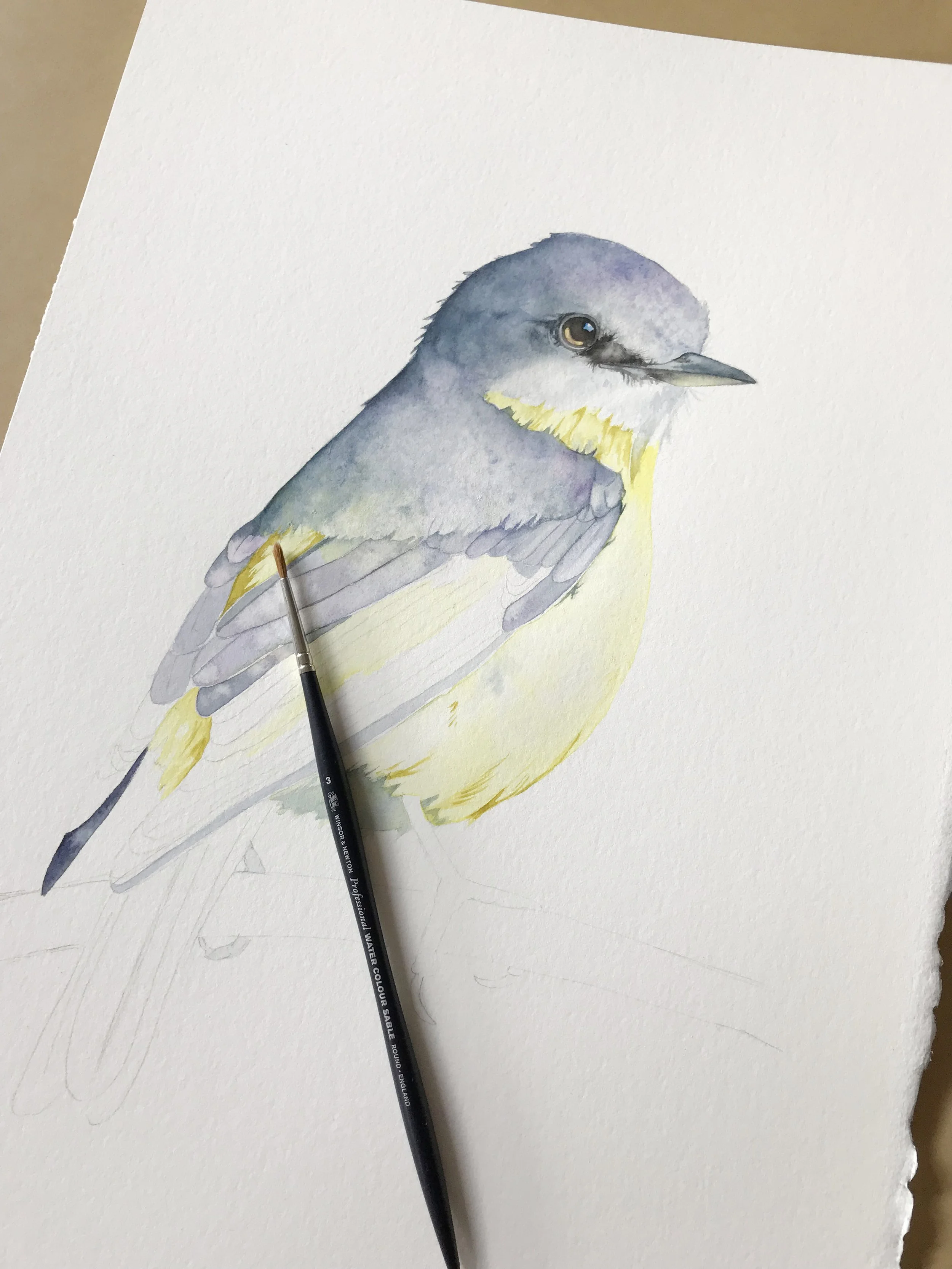 10 Common Watercolour Mistakes and How to Fix Them