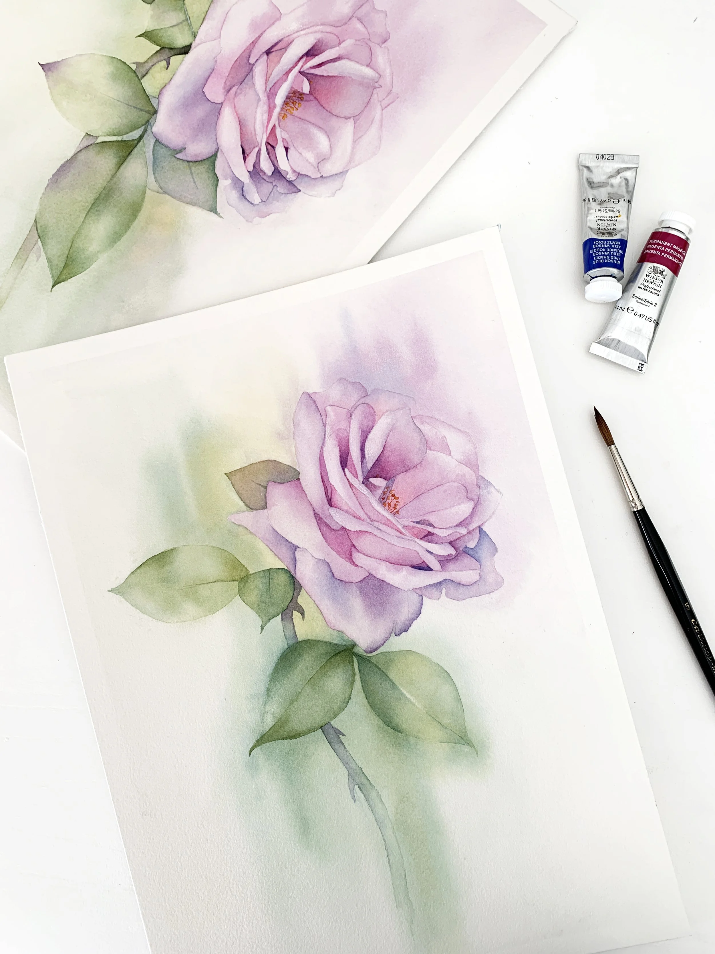 Starting a Watercolour Painting: What to paint first.