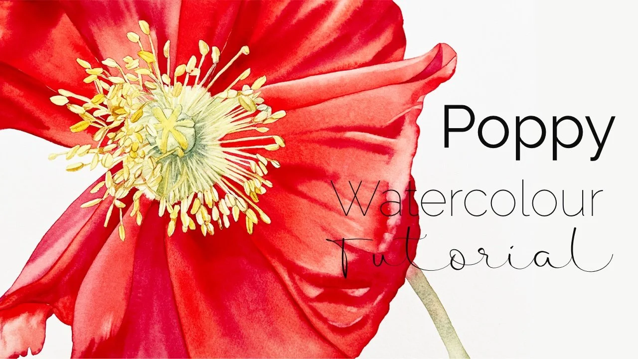 Poppy tutorial thumbnail.jpg
