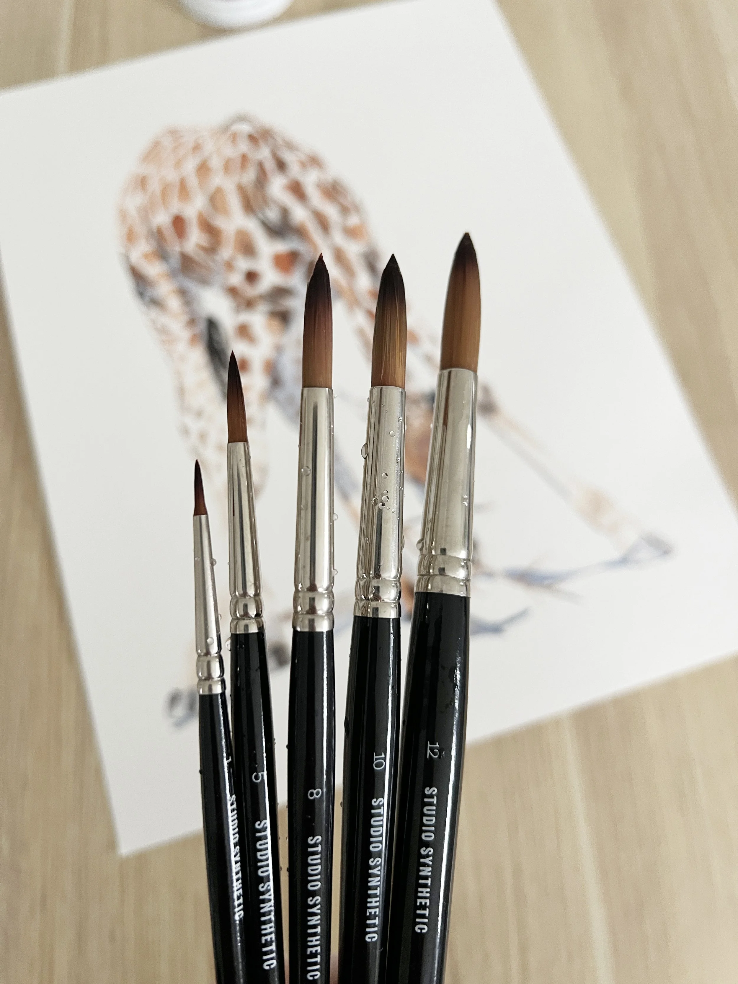 Does Brush Size Matter in Watercolour?