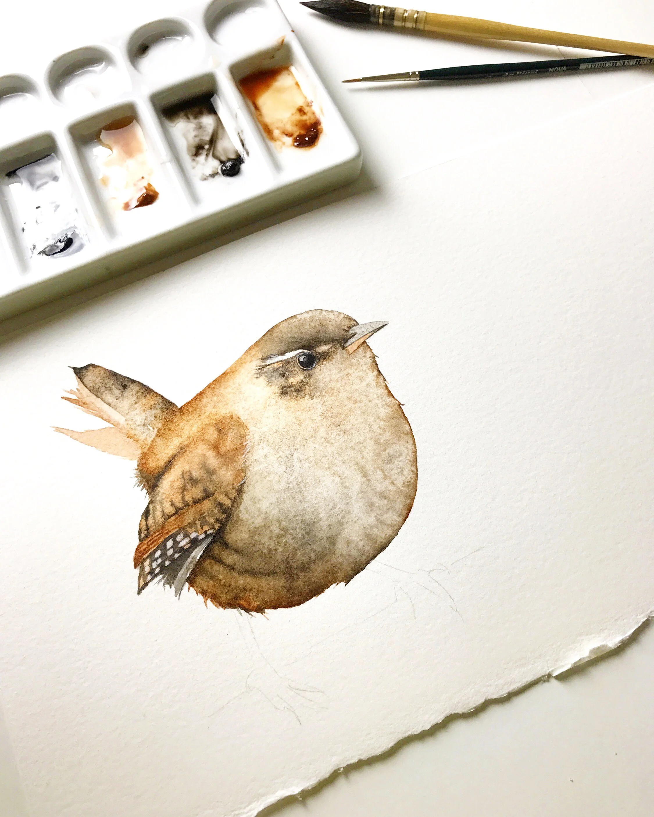 Daily Watercolour Practice Ideas