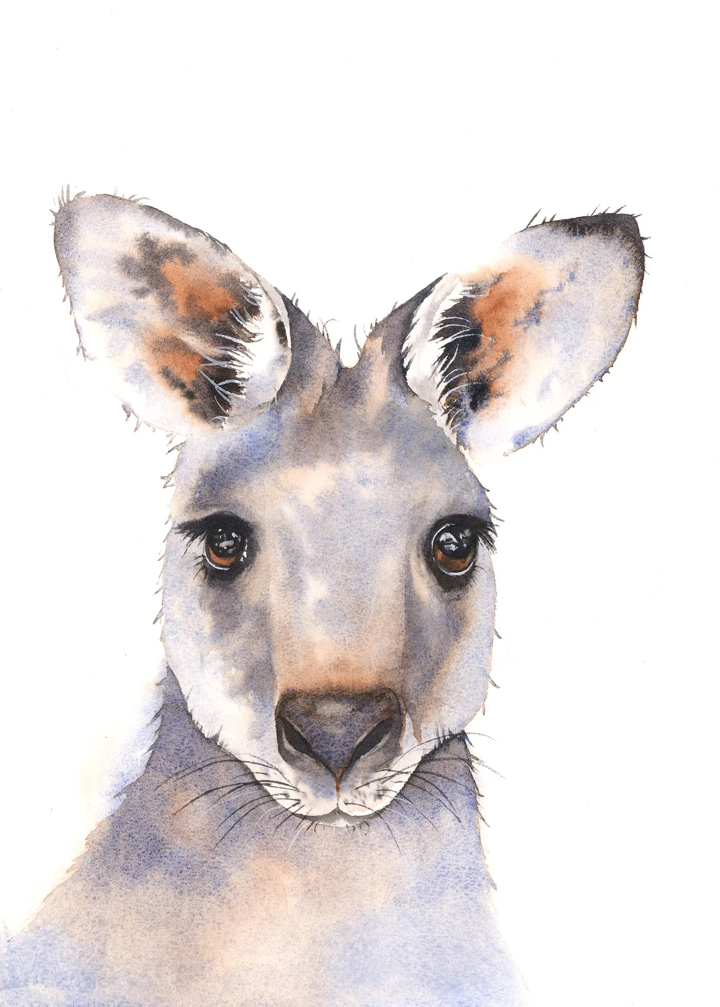 Kangaroo - Intermediate