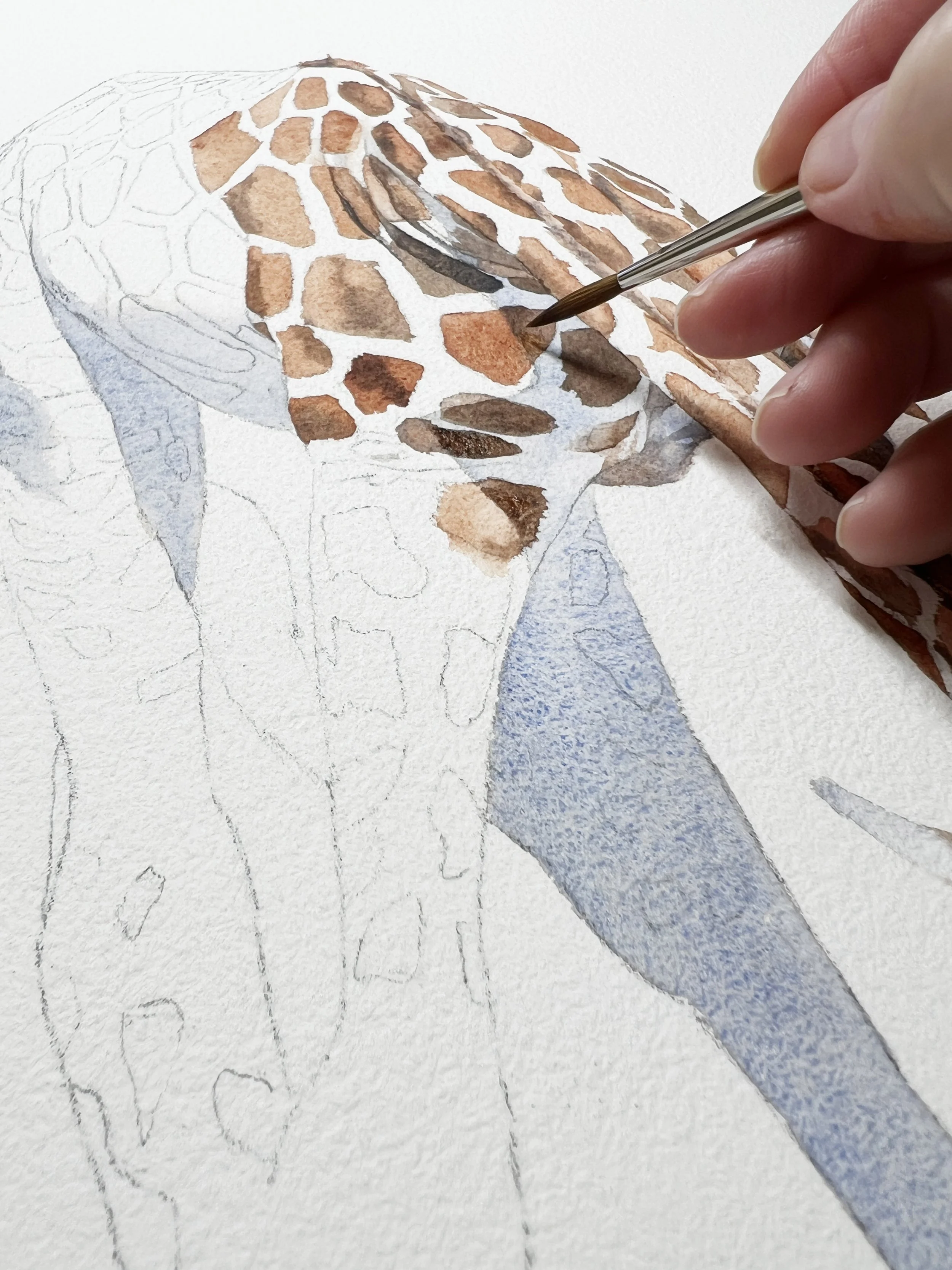 10 Essential Watercolour Techniques For Beginners