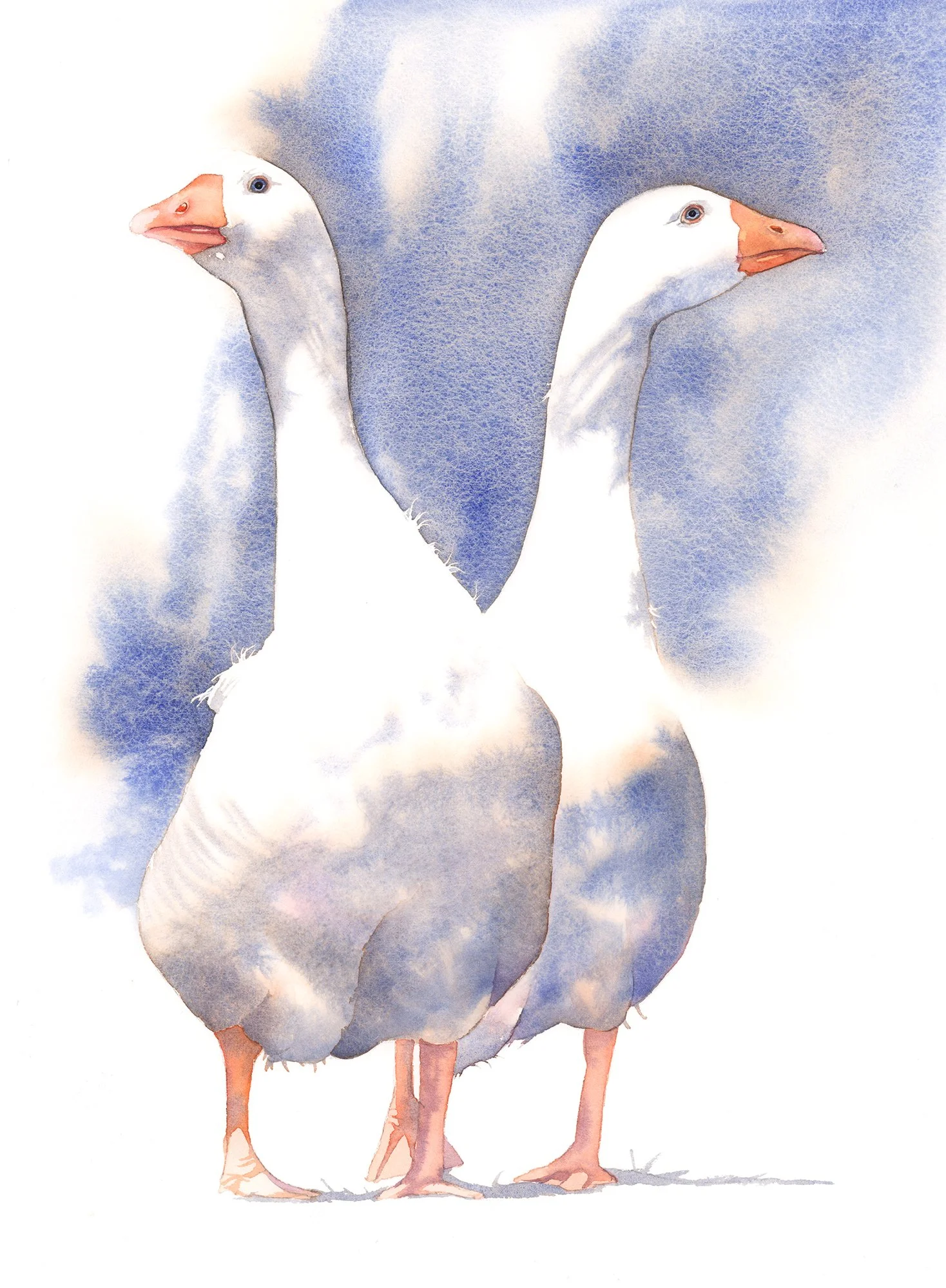 Geese - intermediate
