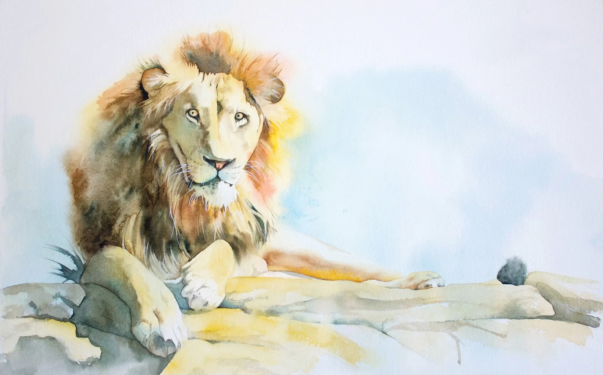 Scared of Watercolour? 8 Common Watercolour Mistakes That Create Fear