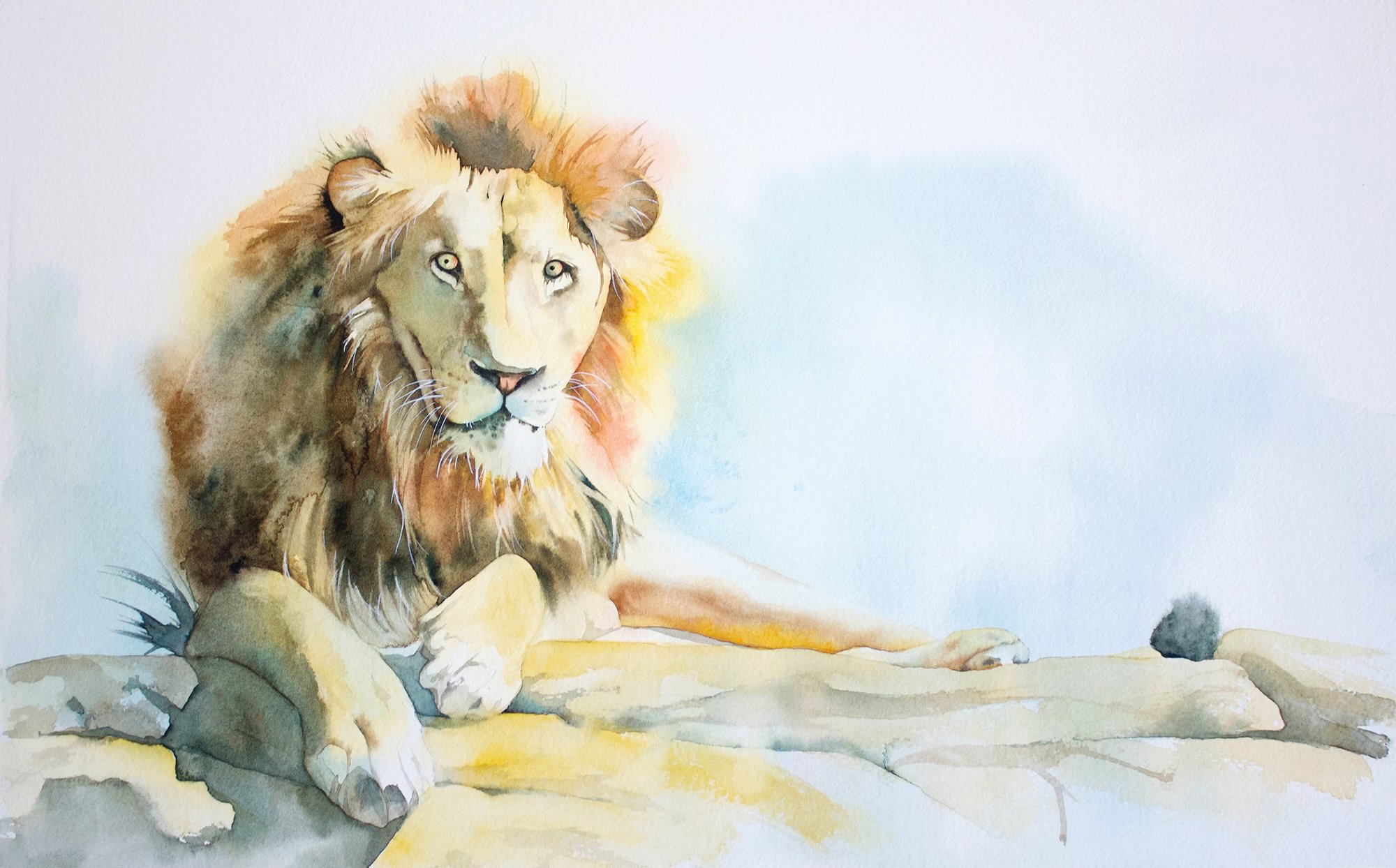Watercolour painting of a lion resting on rocks with warm light and soft background washes.