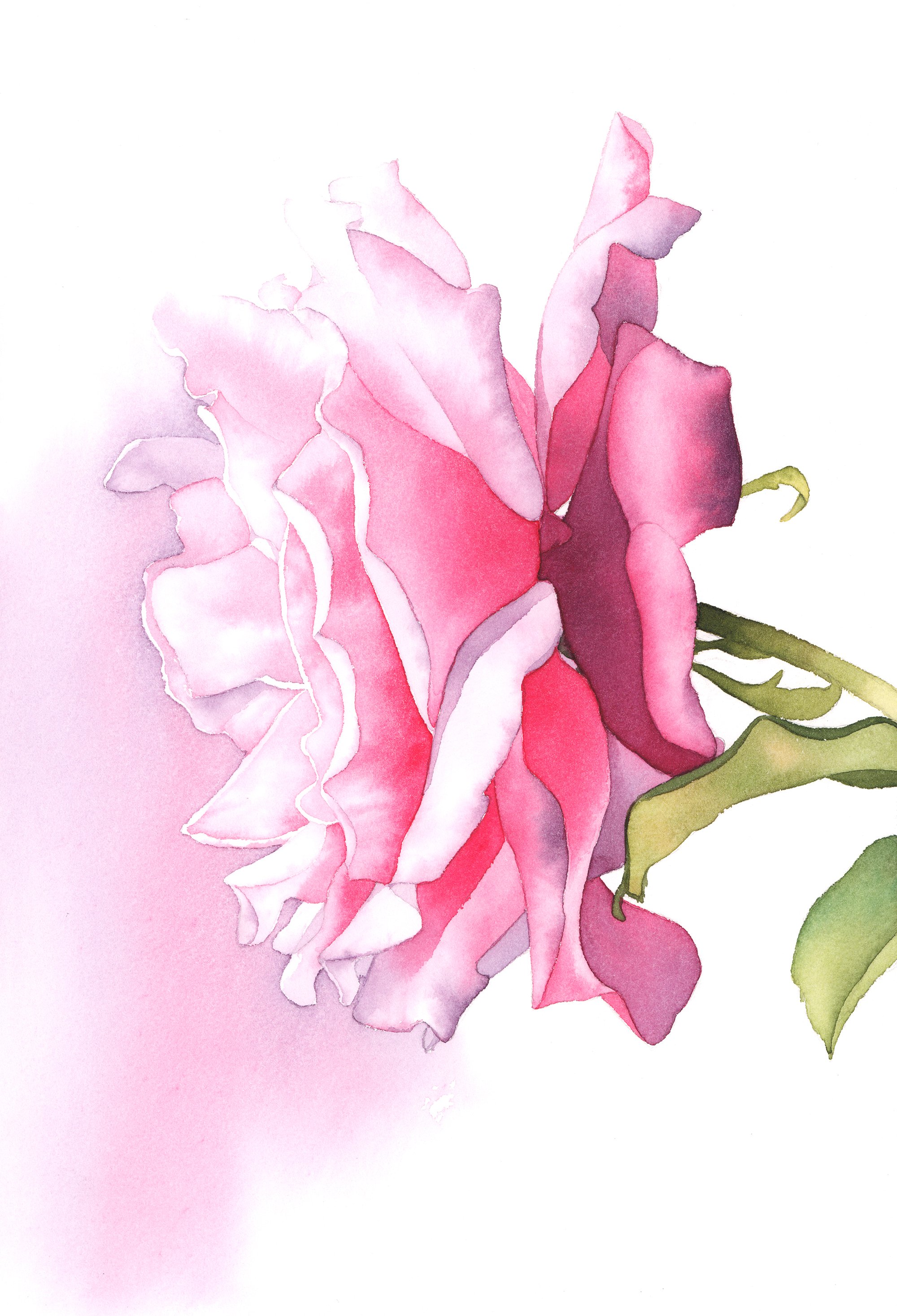 Rose Heaven Scent - intermediate to advanced