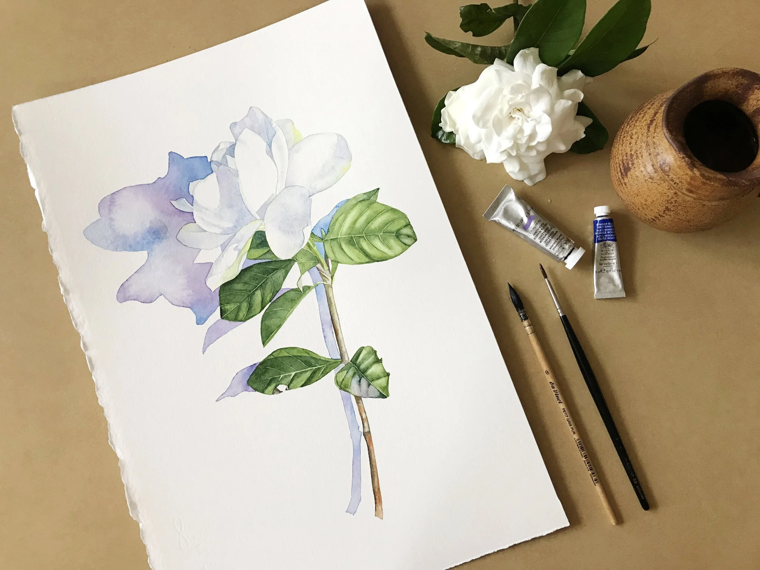 Watercolour painting of a white gardenia with green leaves, showing delicate blue-violet shadows on the petals and a larger cast shadow behind the flower.