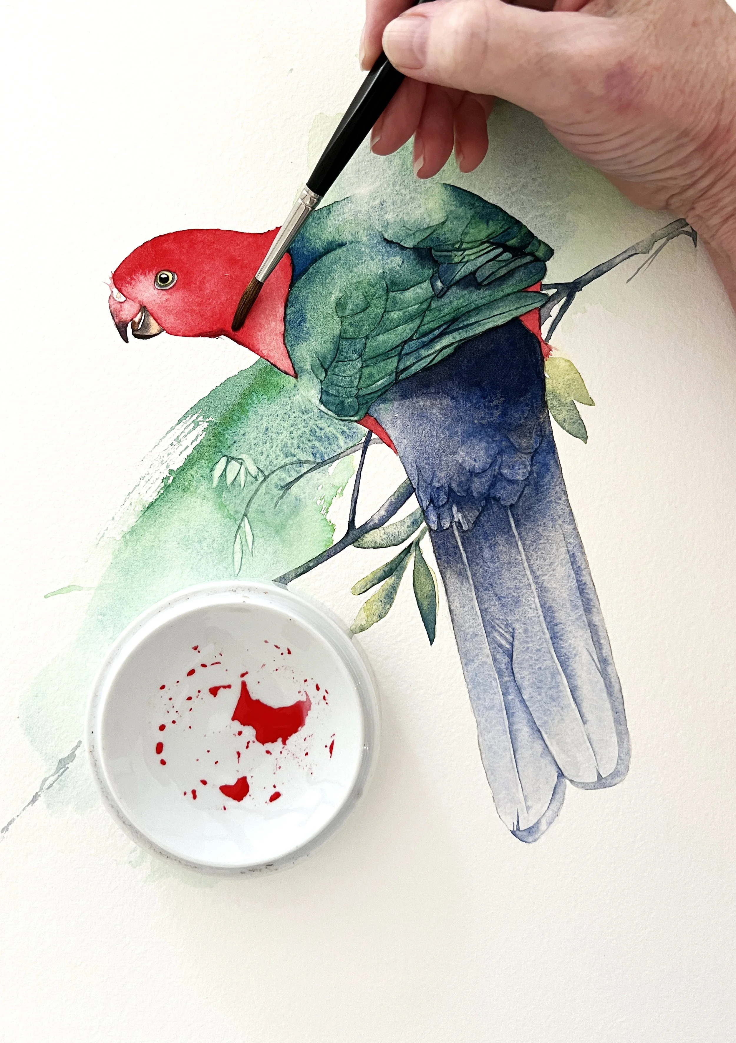 Close-up of a watercolour brush painting the red neck of an Australian king parrot, with rich green wings and layered blue-grey tail feathers.