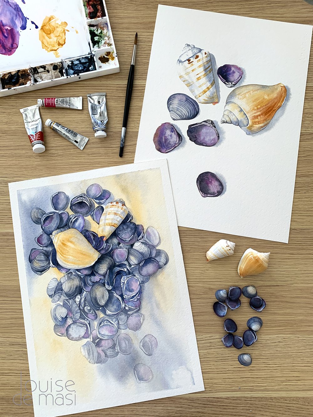 A guide to painting sea shells in watercolour. — Louise De Masi ...