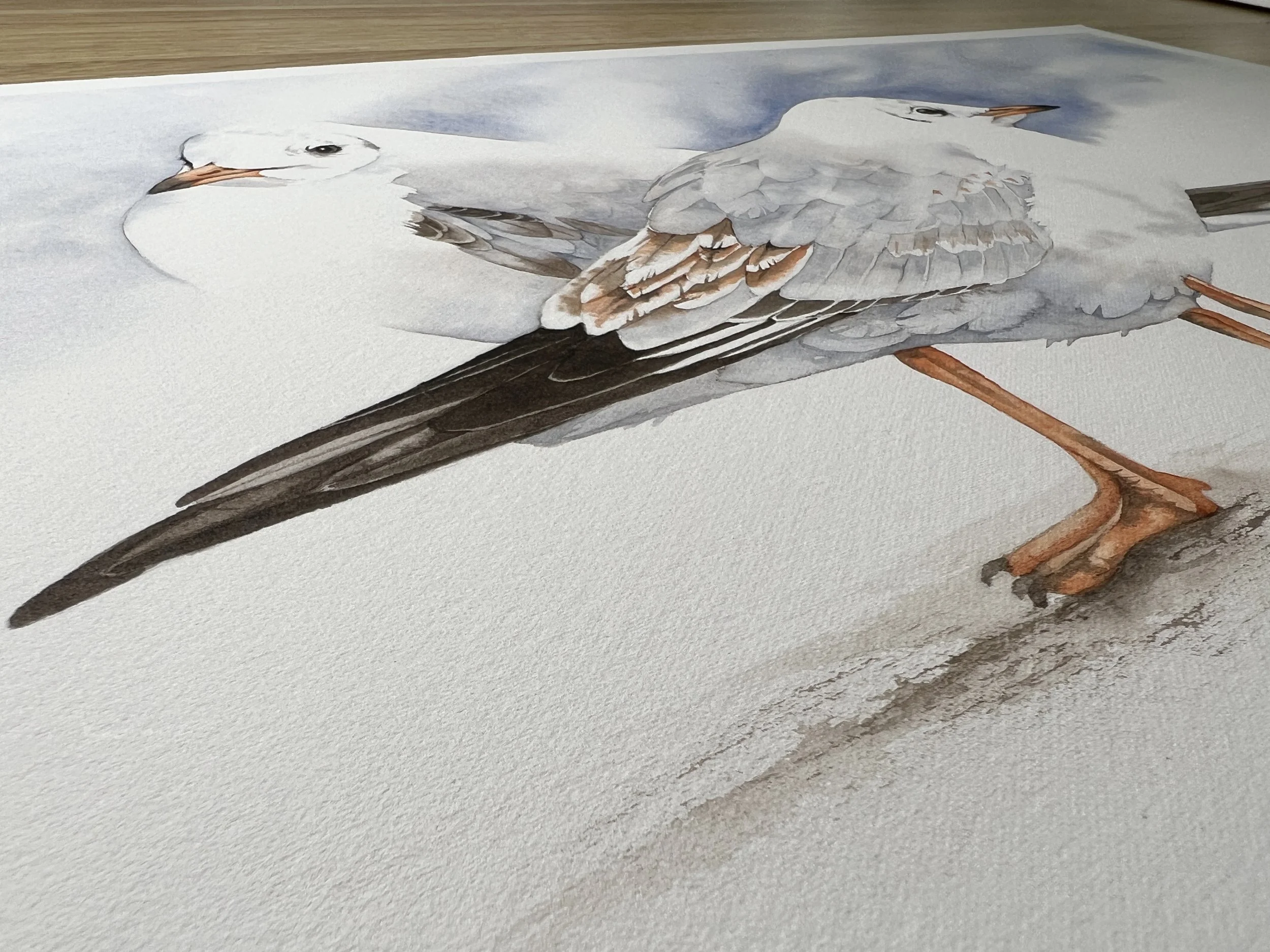 What is the best watercolour paper to use? — Louise De Masi Watercolour Artist