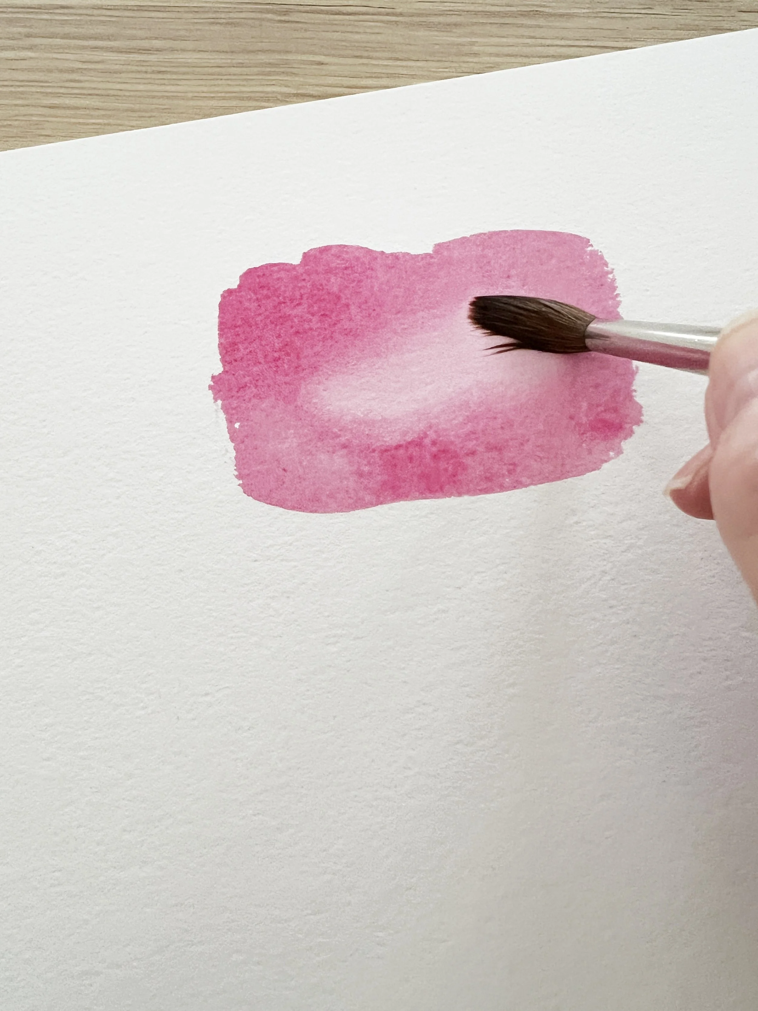 Lifting paint from the centre of a pink watercolour wash with a damp brush to create a gradual transition and highlight.