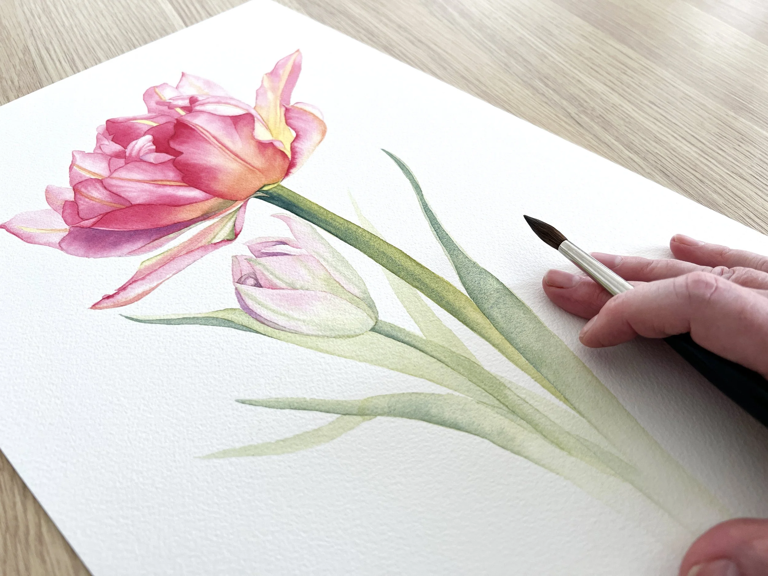 Pink tulip watercolour painting with pale green leaves and a paintbrush resting nearby.