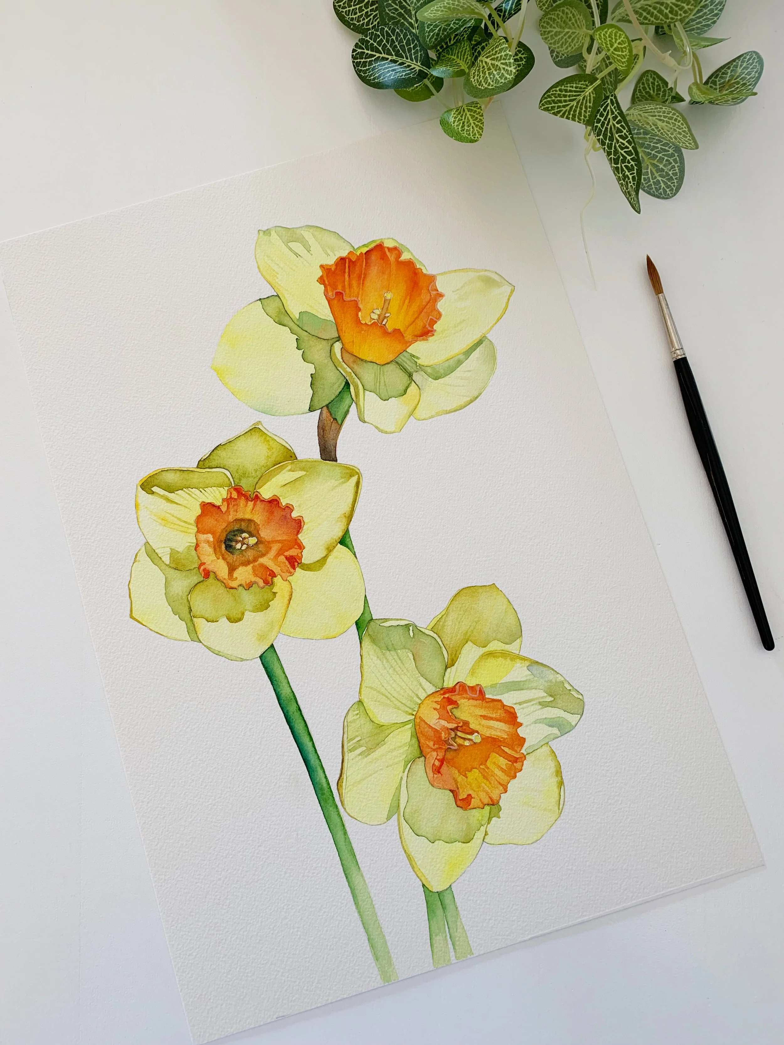 Watercolour painting of three yellow daffodils with vibrant orange centres, delicate pale petals and subtle green shadows on white paper.
