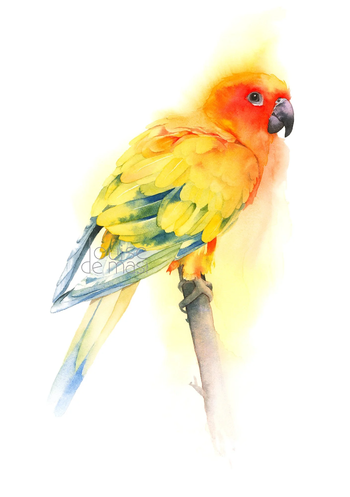 Sun Conure pixel reduced.jpg
