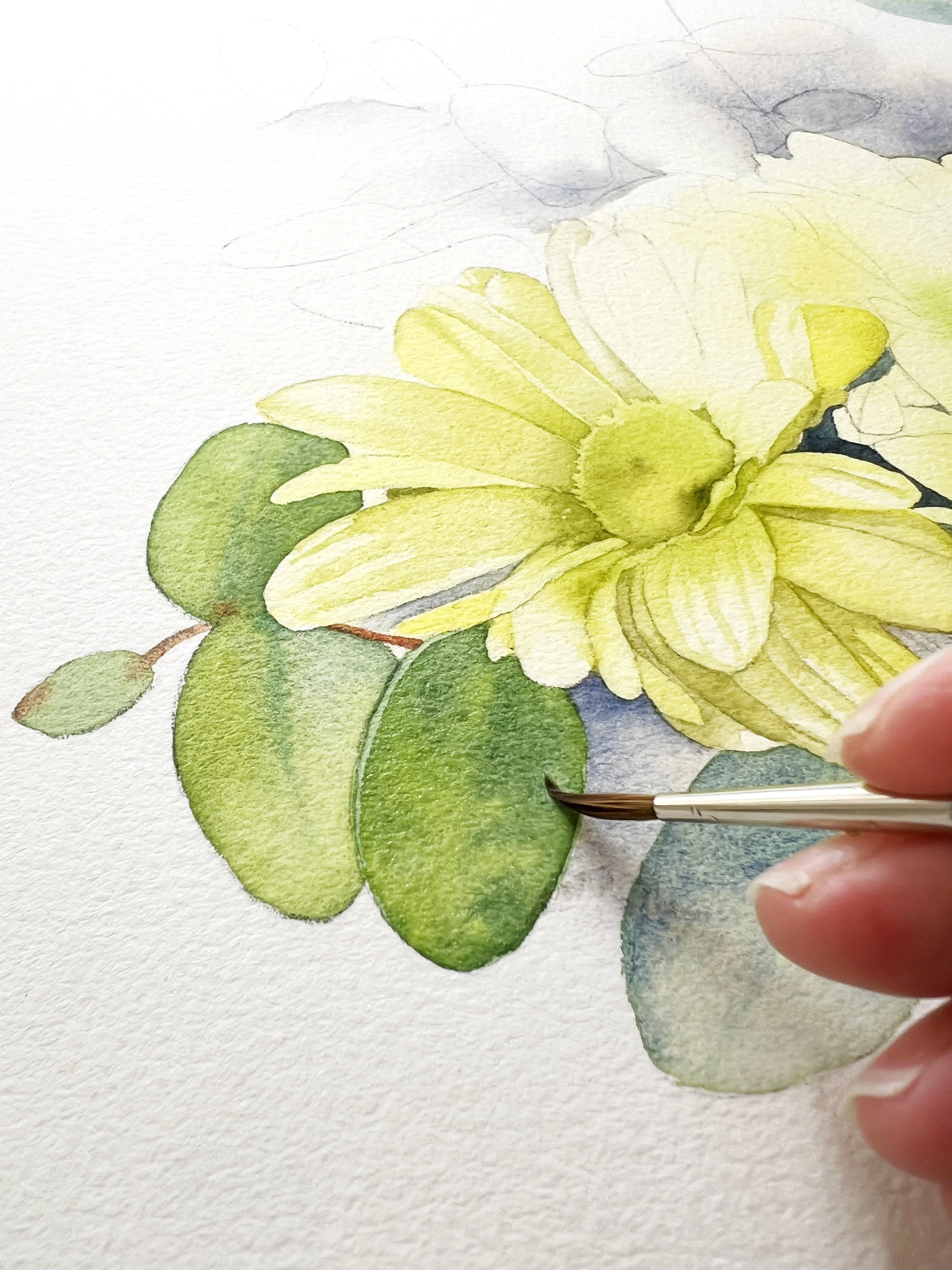 Close-up of a watercolour brush adding green paint to a leaf beside a pale yellow flower, demonstrating transparent layering and tonal values.