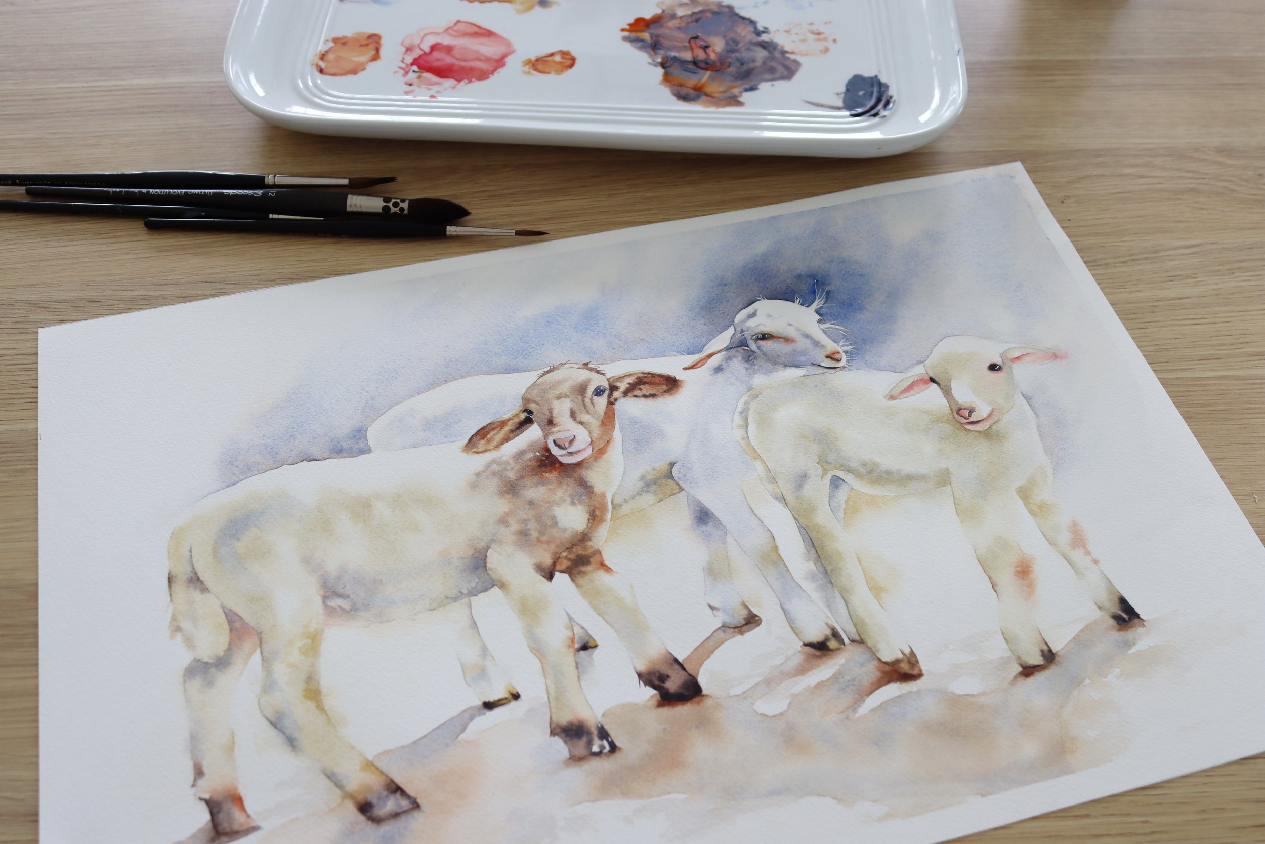 Watercolour painting of three lambs standing together, demonstrating soft washes and preserved whites in watercolour by Louise De Masi.