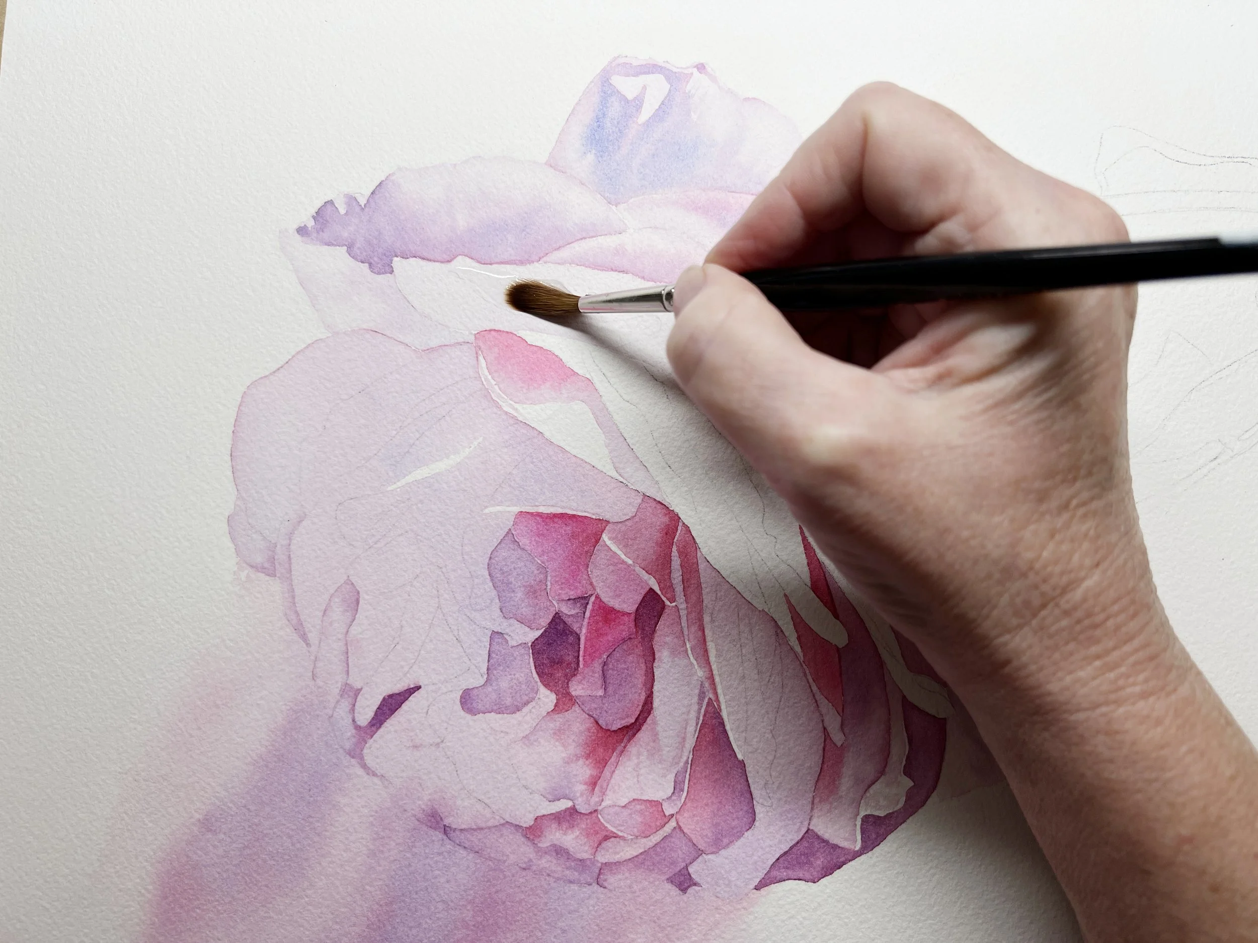 How to Paint Hard and Soft Edges in Watercolour — Louise De Masi
