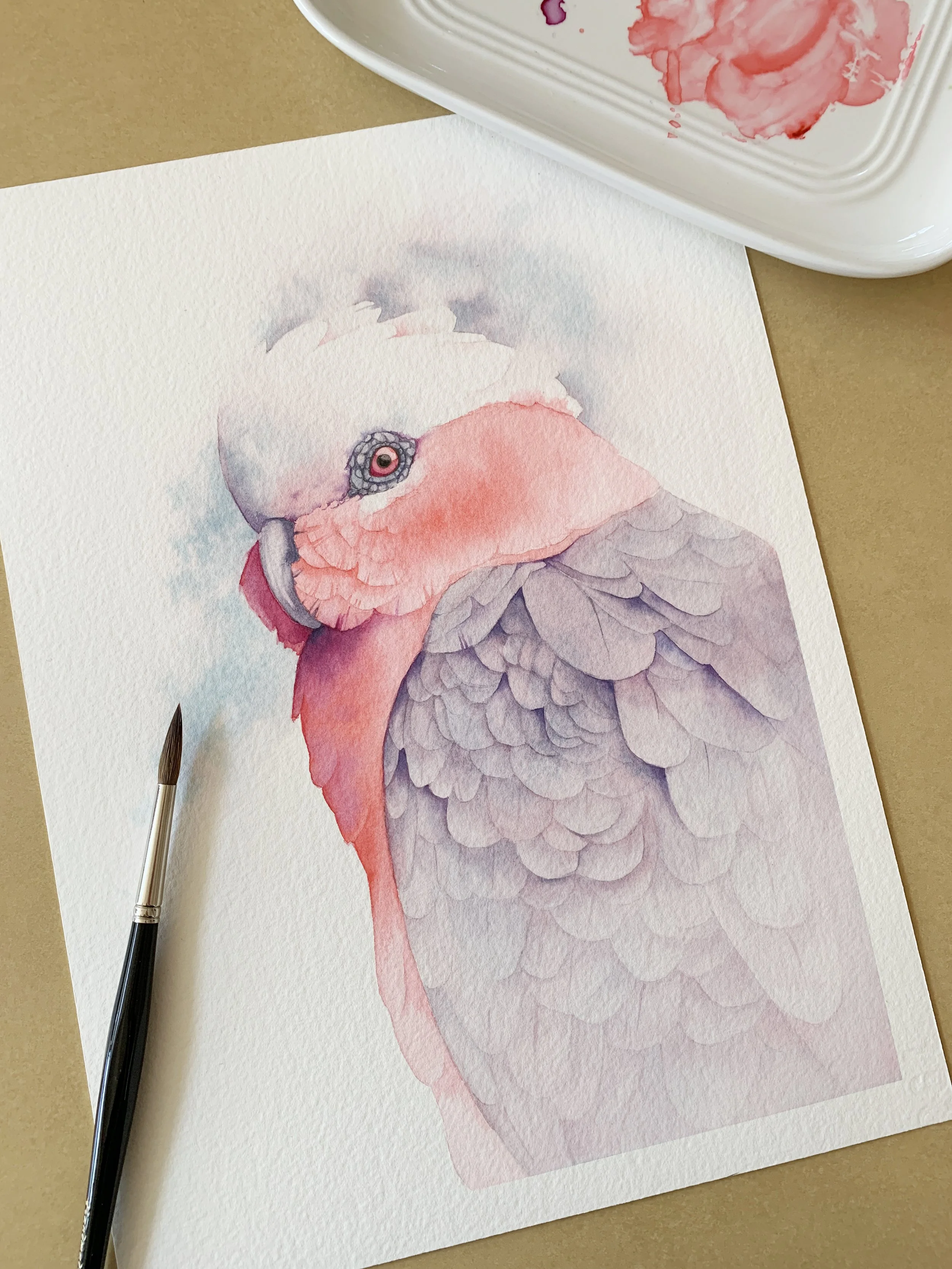 A detailed galah painted in soft pinks and purples using watercolour, with a focus on feather texture and delicate colour transitions.