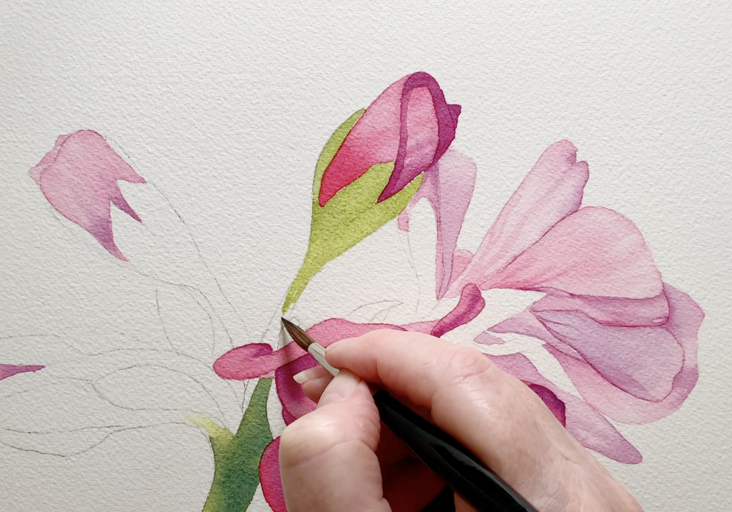 Beginner watercolour painting in early stages with light washes