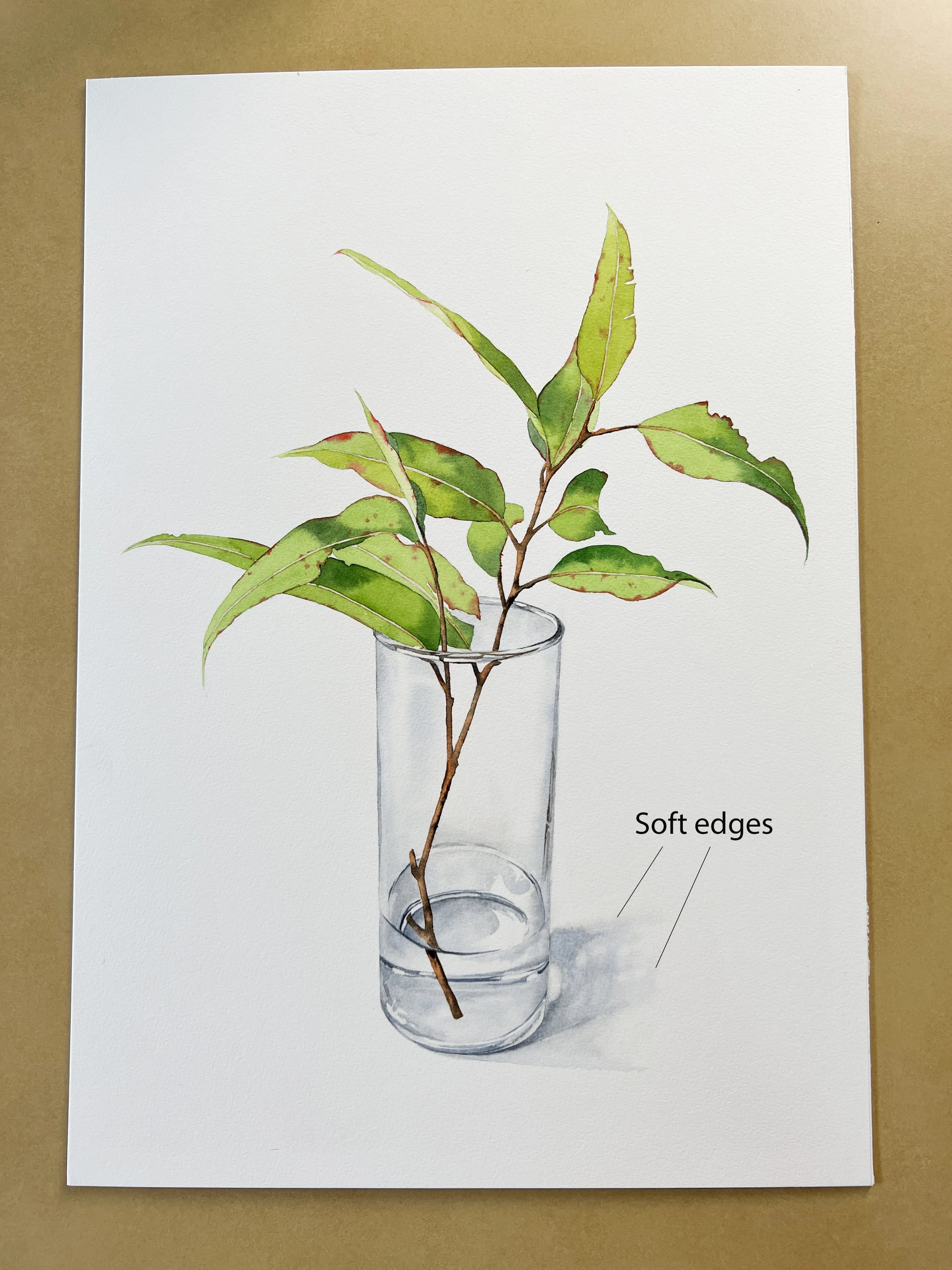 Botanical watercolour painting of a leafy eucalyptus branch in a transparent glass vase, with soft blue-grey cast shadows fading into white paper.