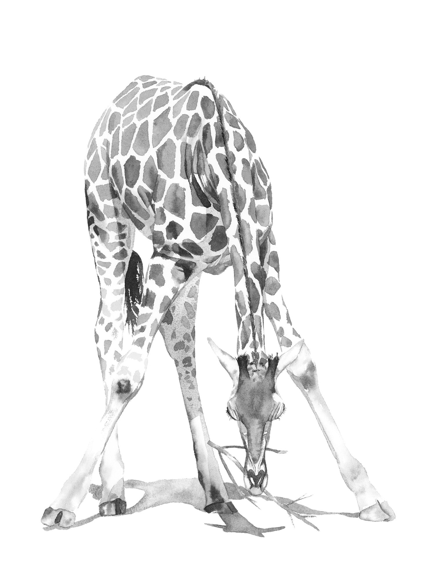 watercolourroselightwashes.jpg