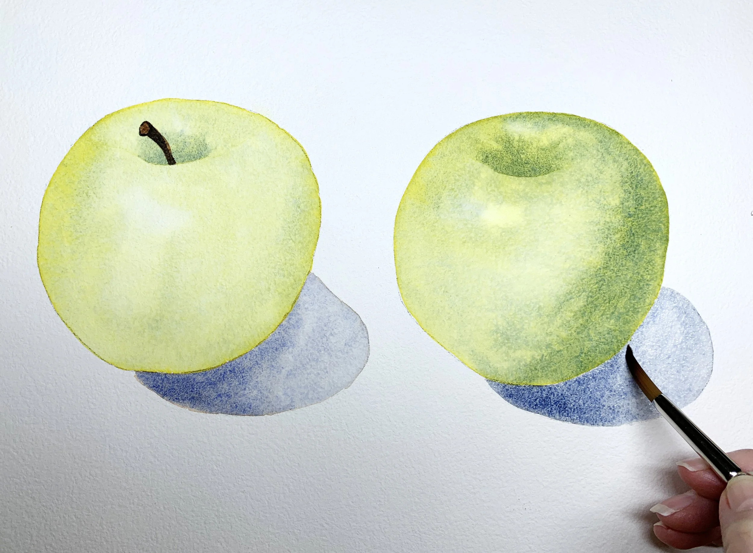 Two green apples painted in watercolour with blue shadows, focusing on colour blending and light direction.