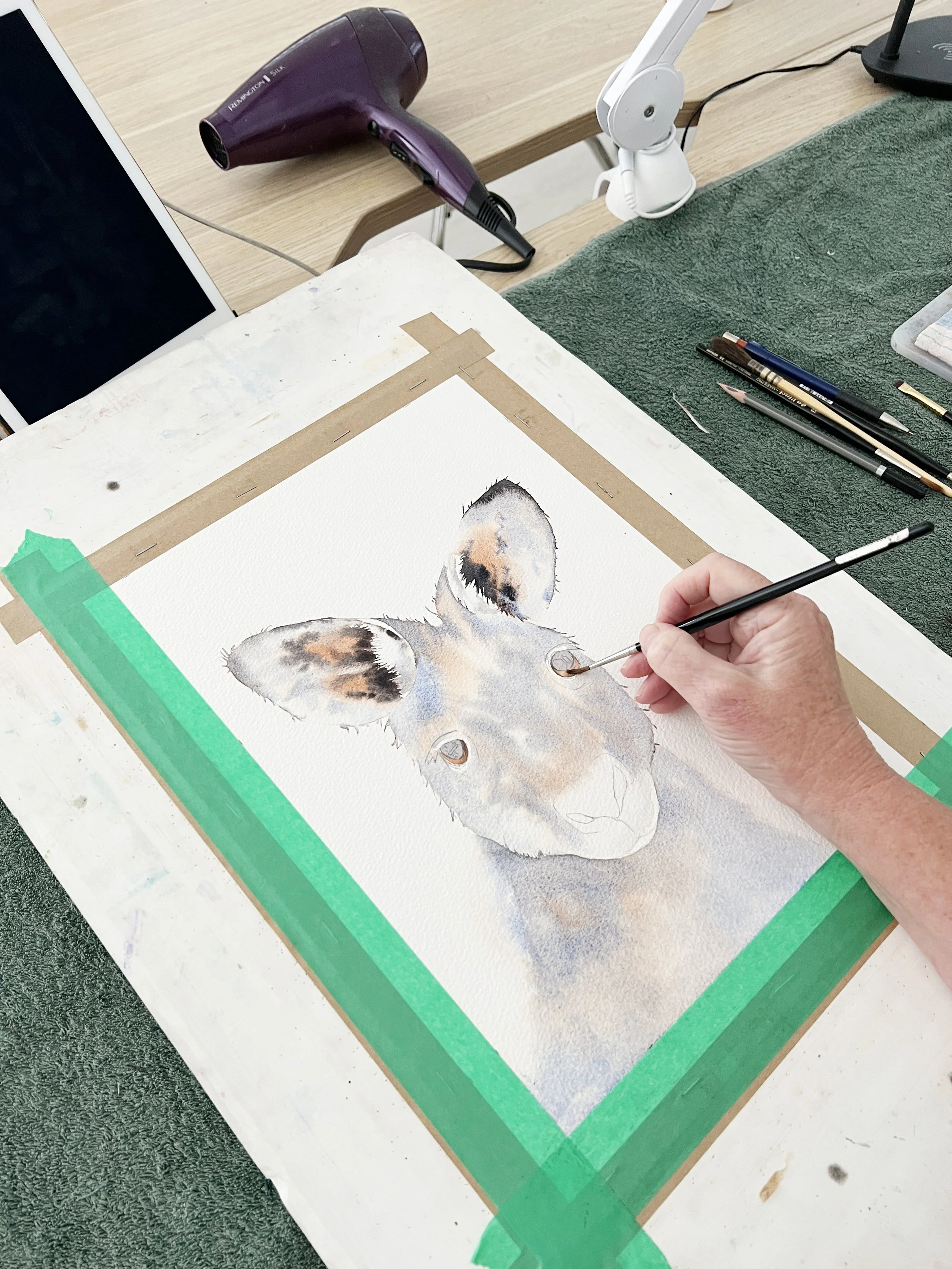 Louise De Masi working on a detailed watercolour portrait of a kangaroo, focusing on the eye area.
