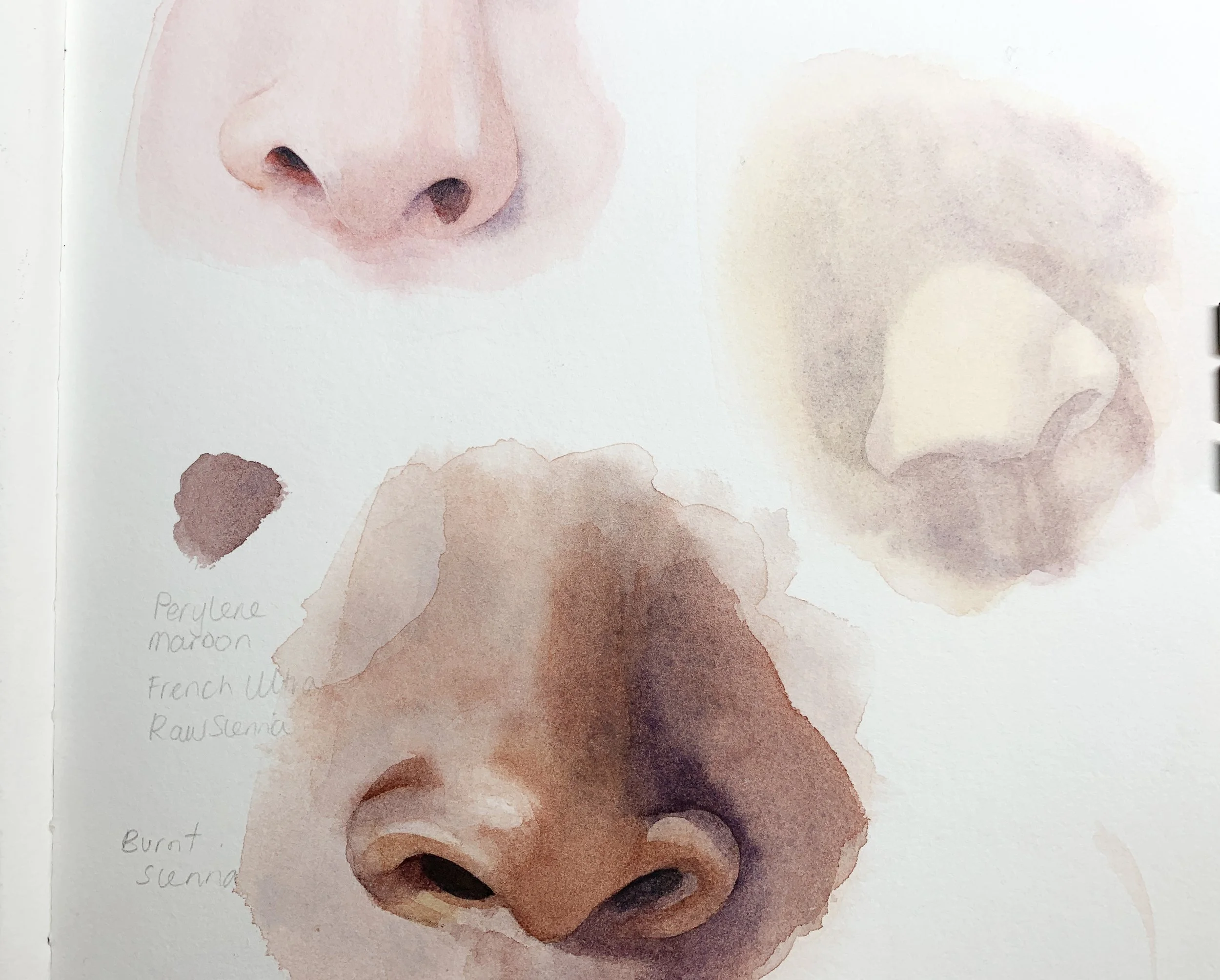 A sketchbook page with multiple watercolour nose studies in different skin tones and colour mixes.