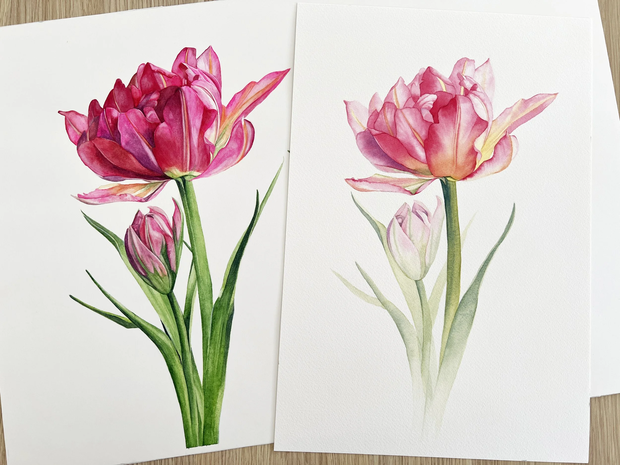 Two watercolour tulip paintings side by side, showing an older darker version and a lighter simplified repainting.