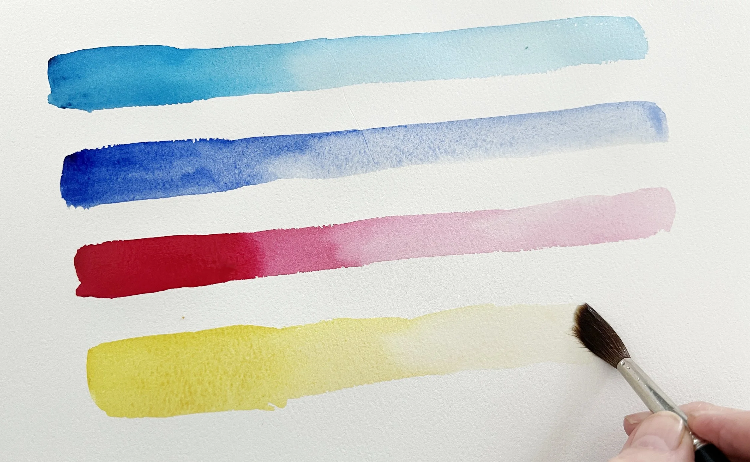 Watercolour brushstrokes graduating from dark to light to demonstrate different values and paint strength.
