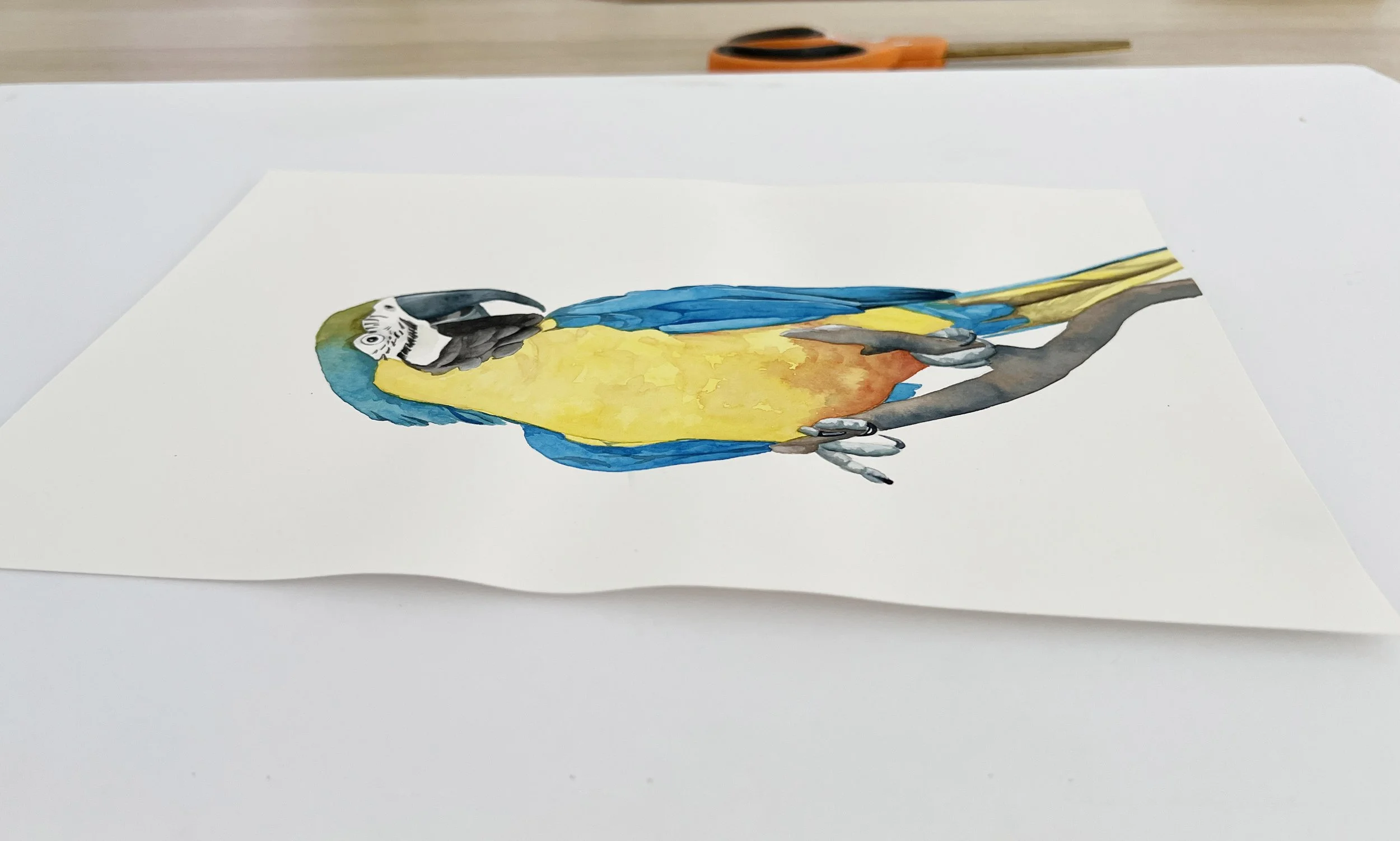 How to Stretch Watercolour Paper: Step by Step — Louise De Masi ...